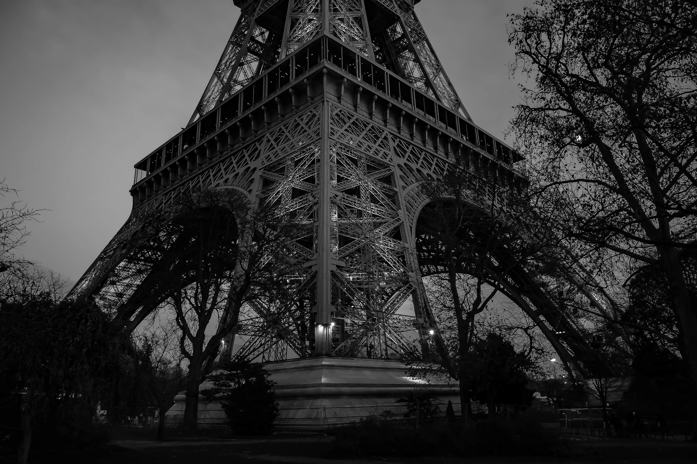 The Eiffel Lady