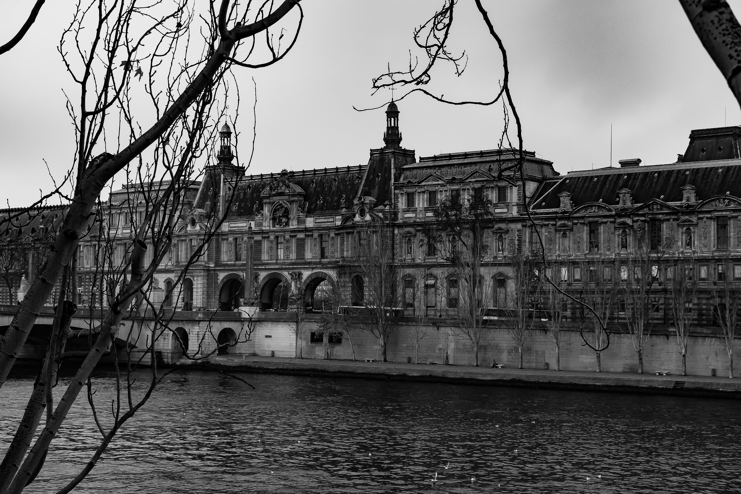 Old Palais Royale on the Seine