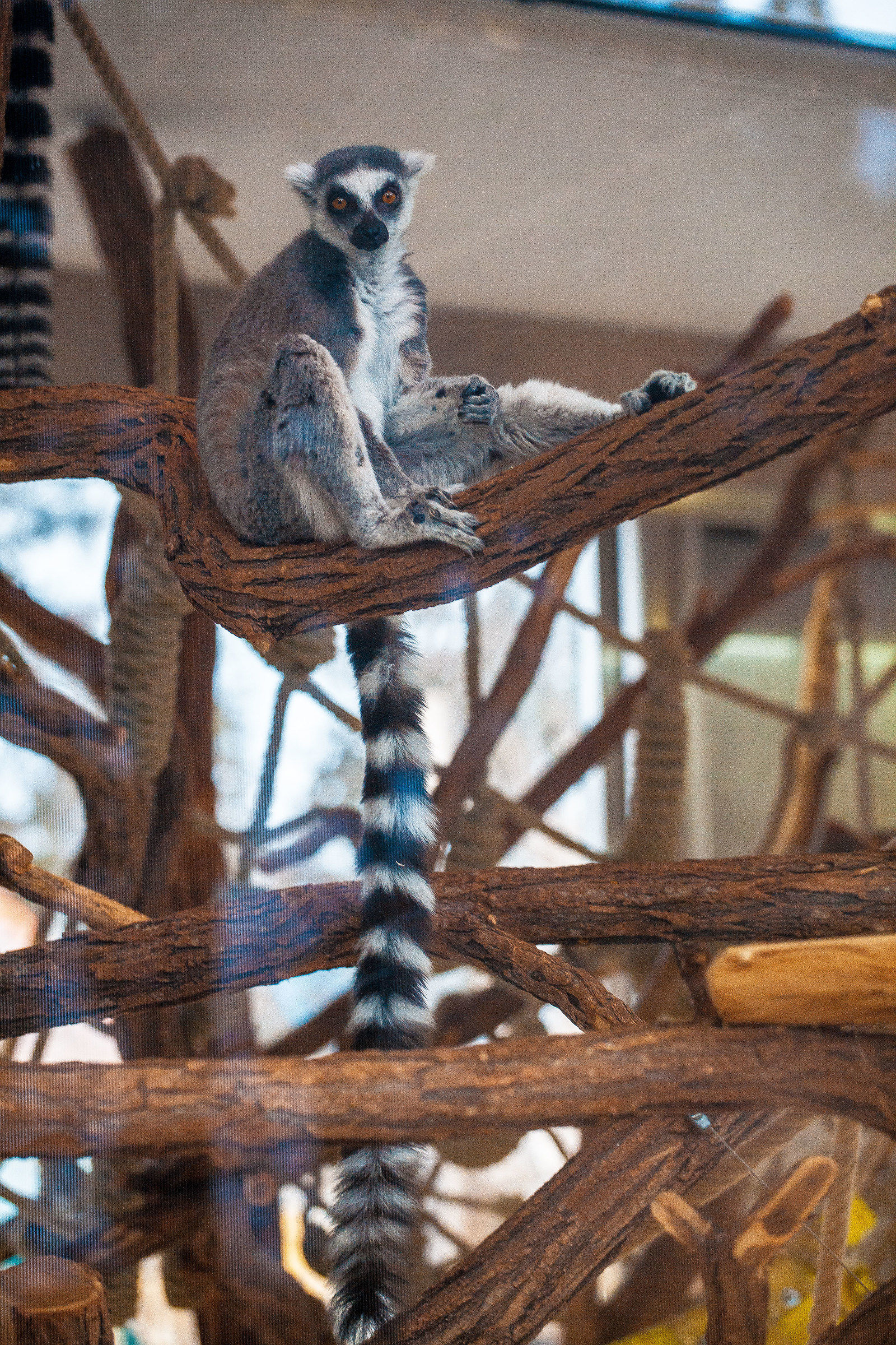 Tiergarten Schönbrunn