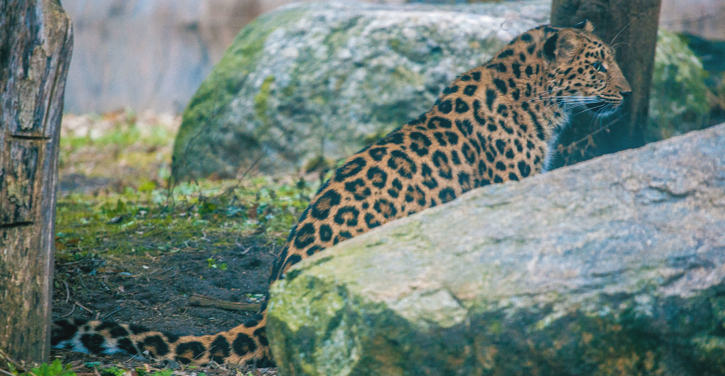 Tiergarten Schönbrunn