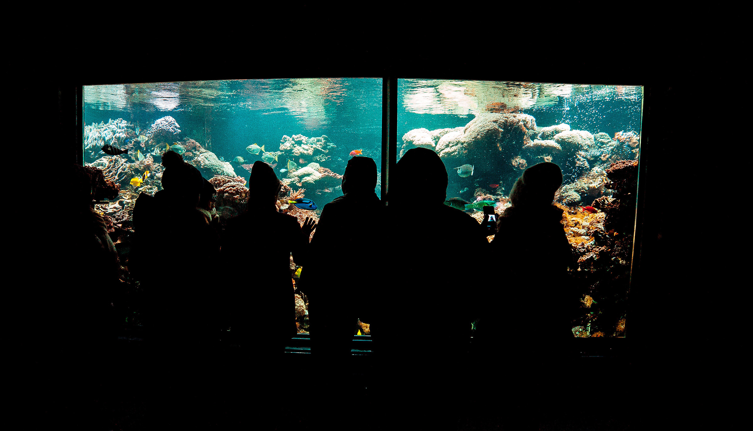 Tiergarten Schönbrunn