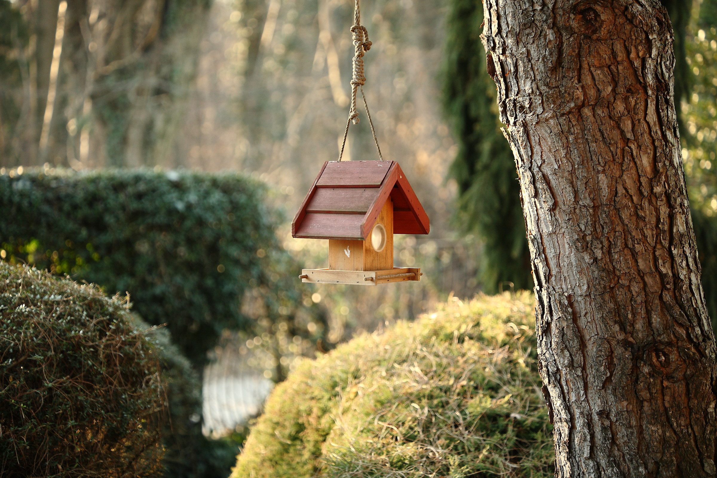 Samyang 100 with added focus confirmation chip