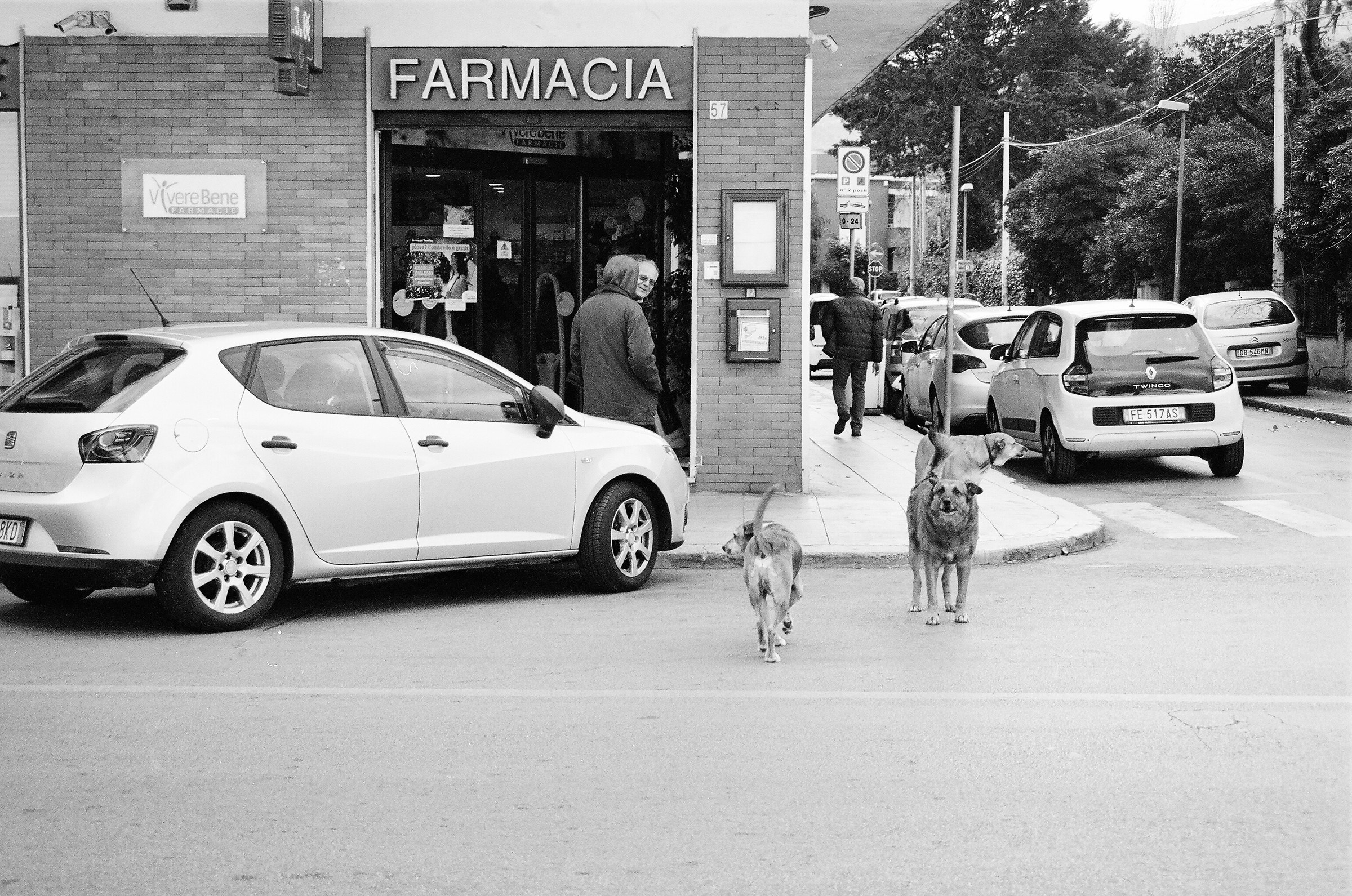 This is our area! Get out!