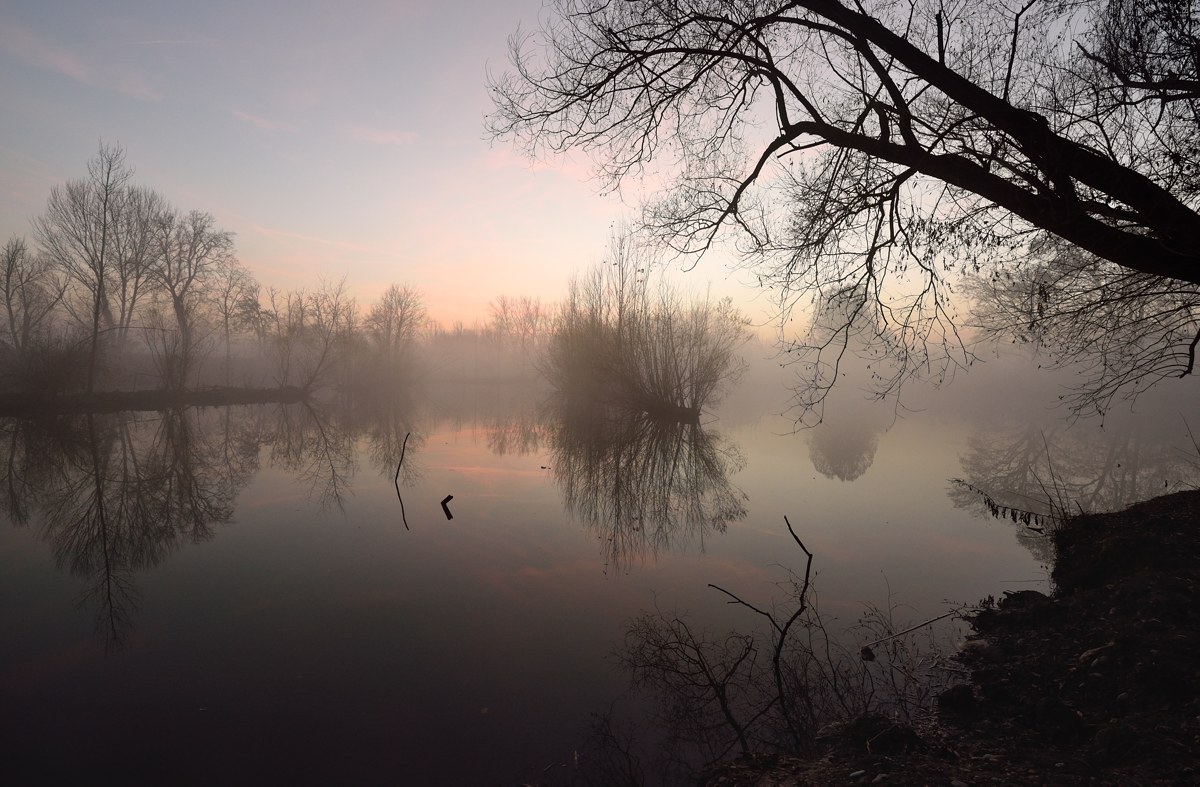 Reflections in the fog