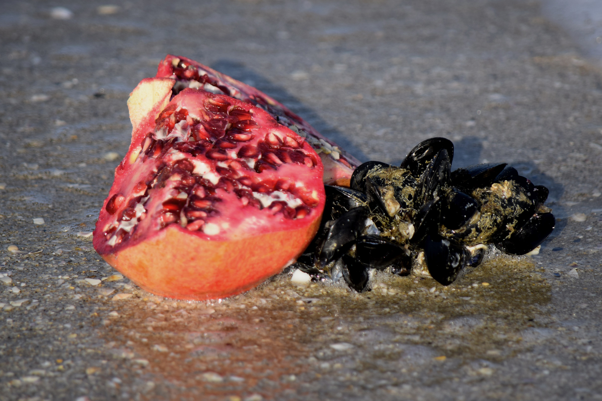 Abbandono- Mare d'inverno 20