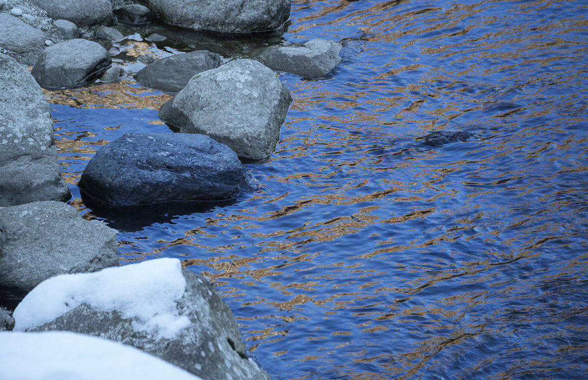 Reflections in the creek