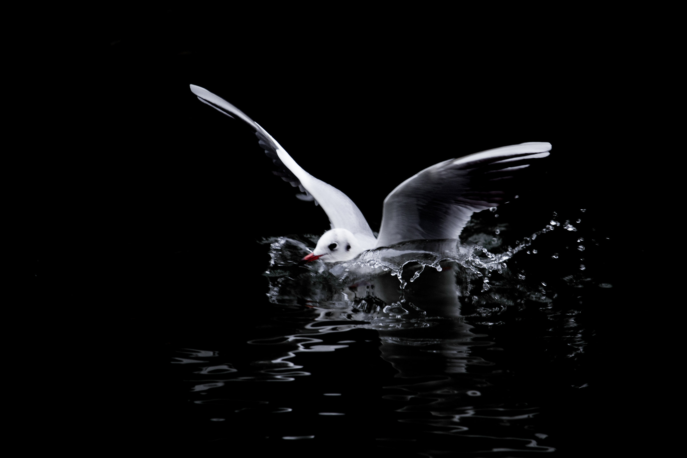 Atterraggio riuscito