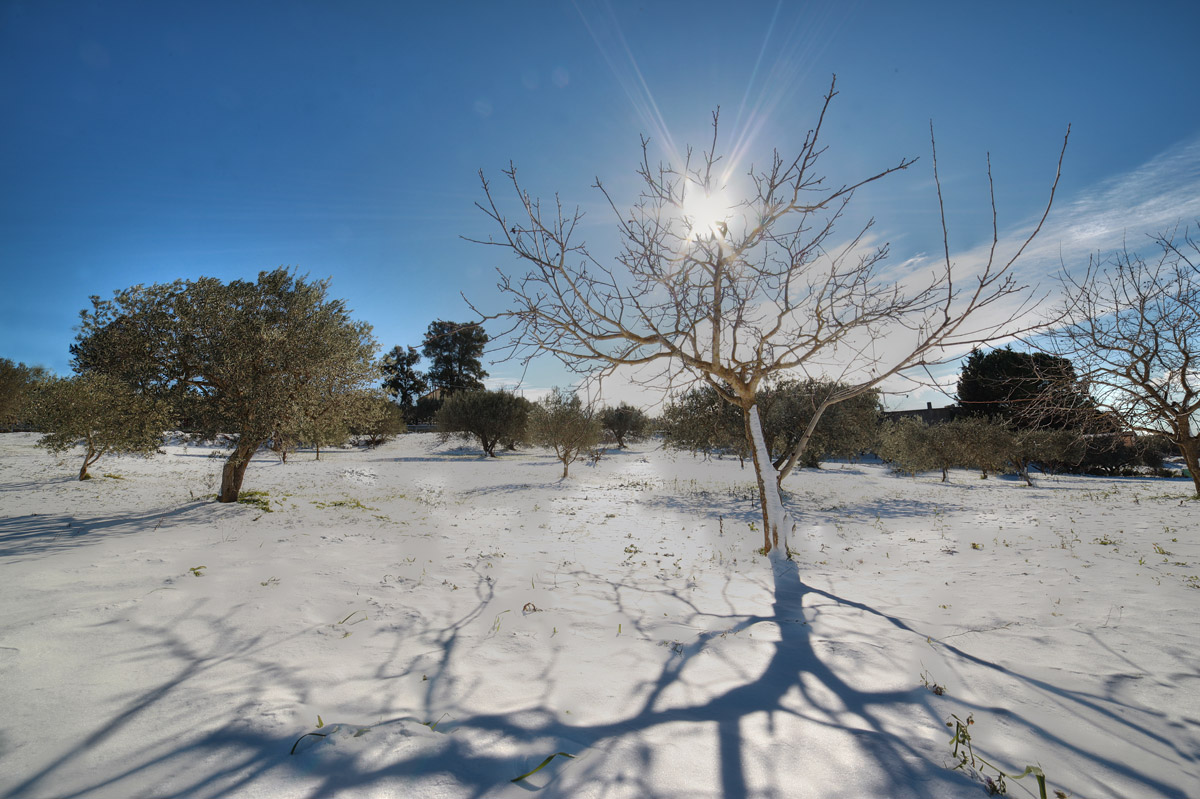 Snow in Sicily (2017)