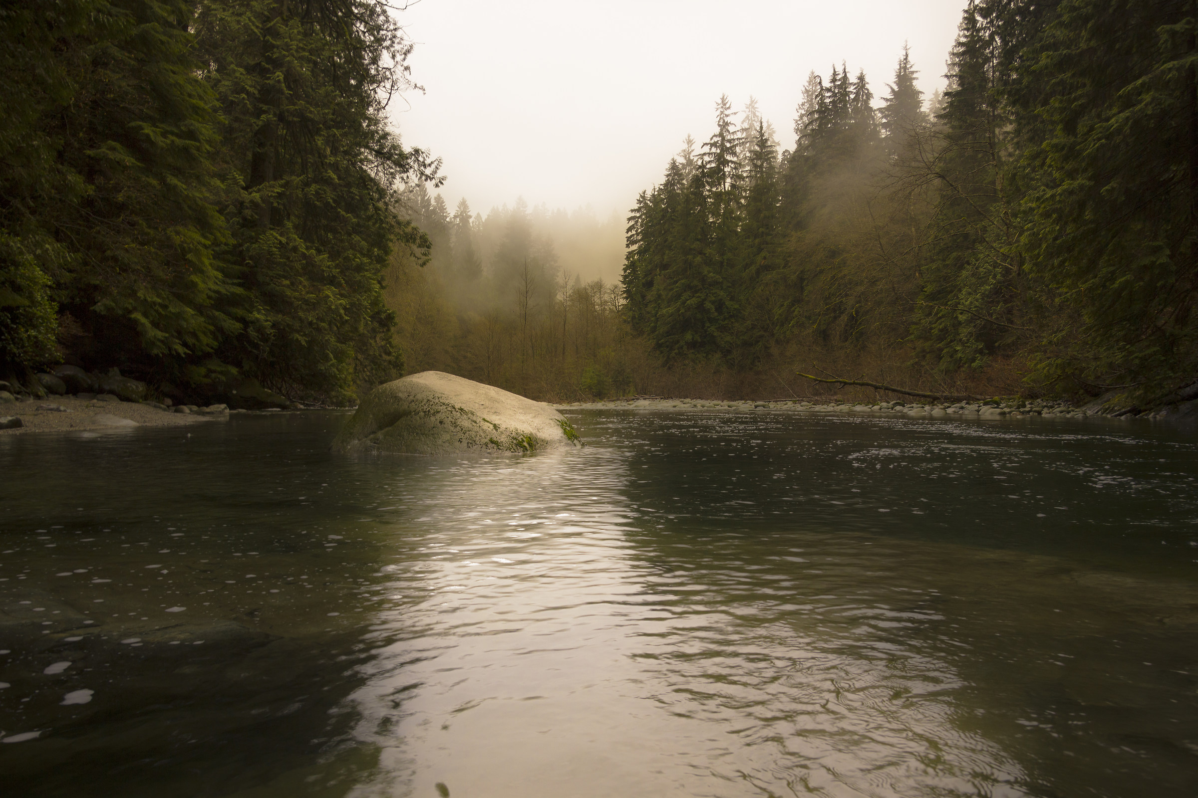 a beautiful sunset in Lynn Canyon