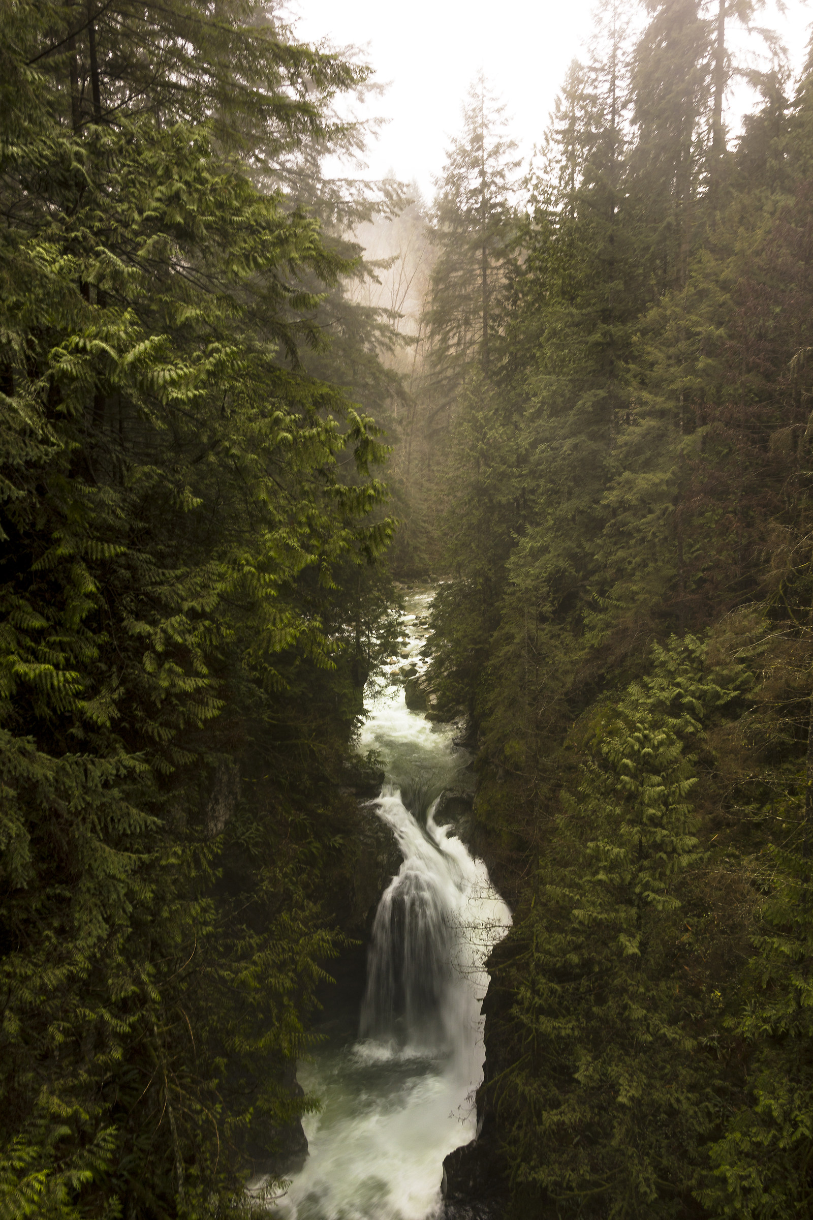 Lynn Canyon Falls
