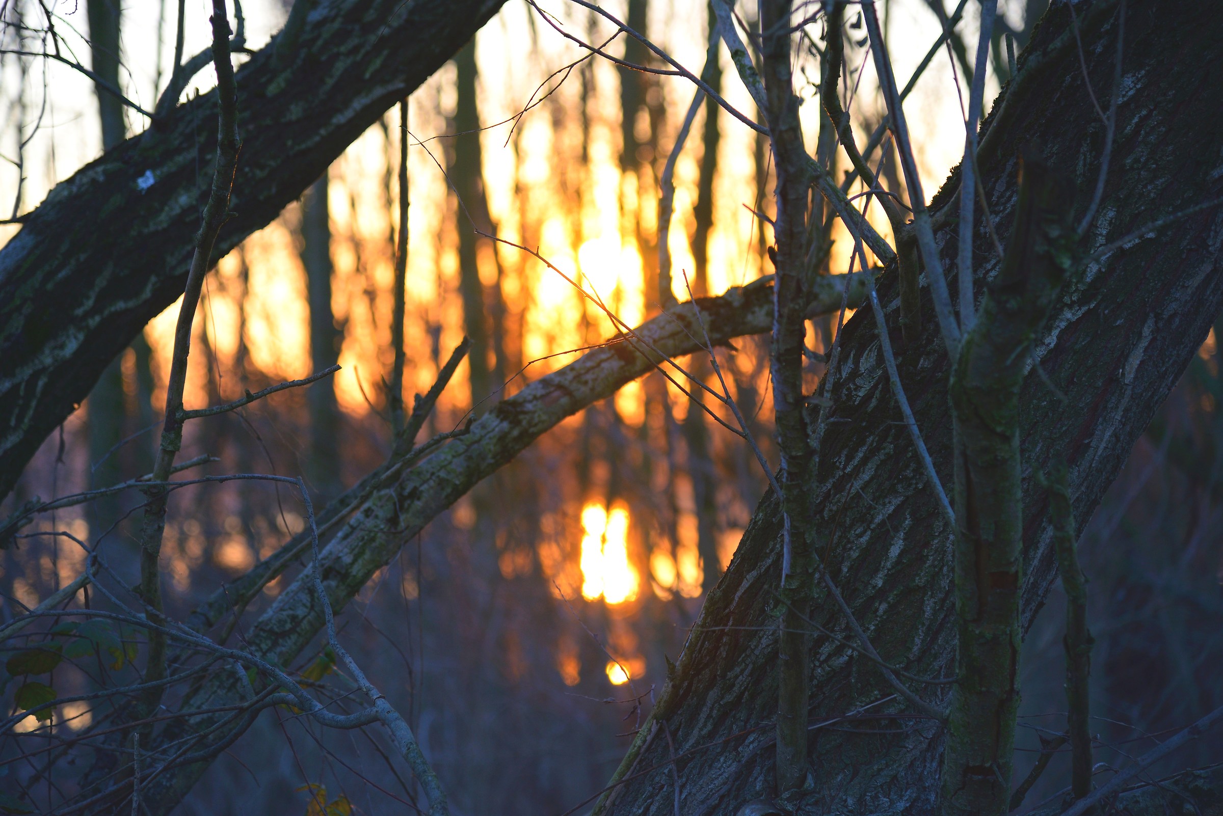 Sunset on Po (1 of 3)