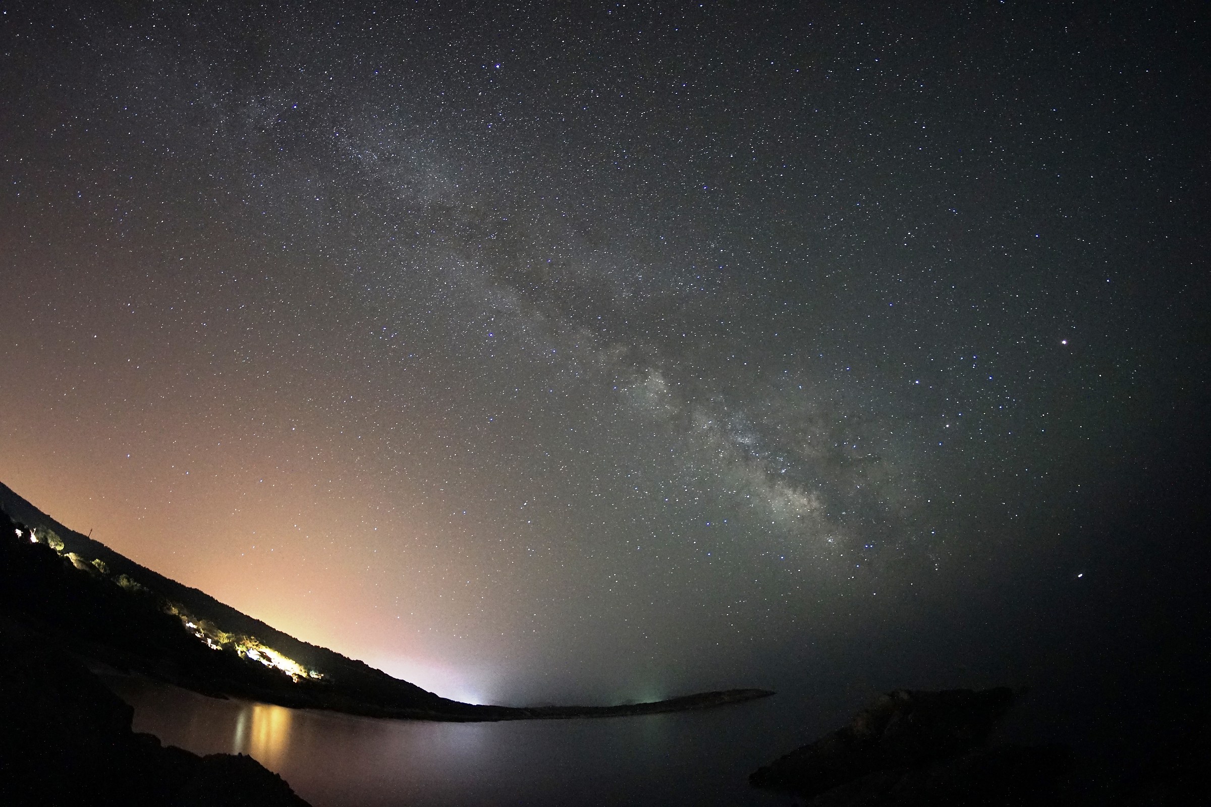 Porto pine wood - Sulcis