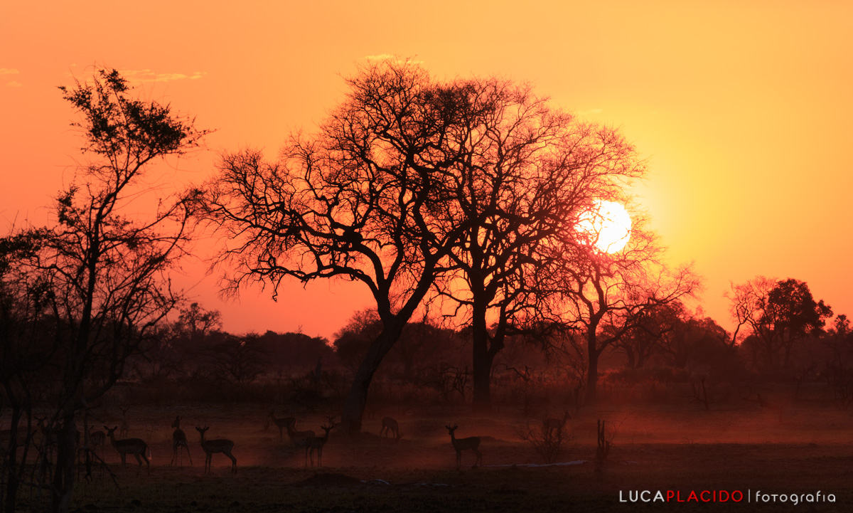 Sunset on the Okavango Delta