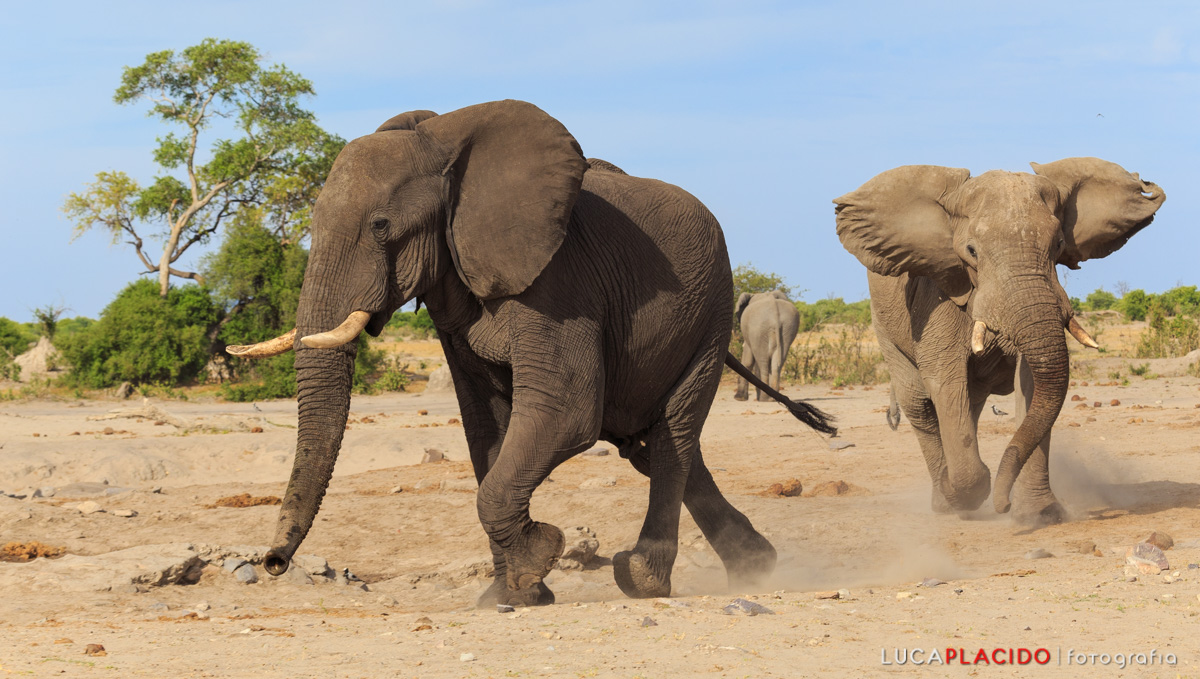 Small misunderstandings between friends