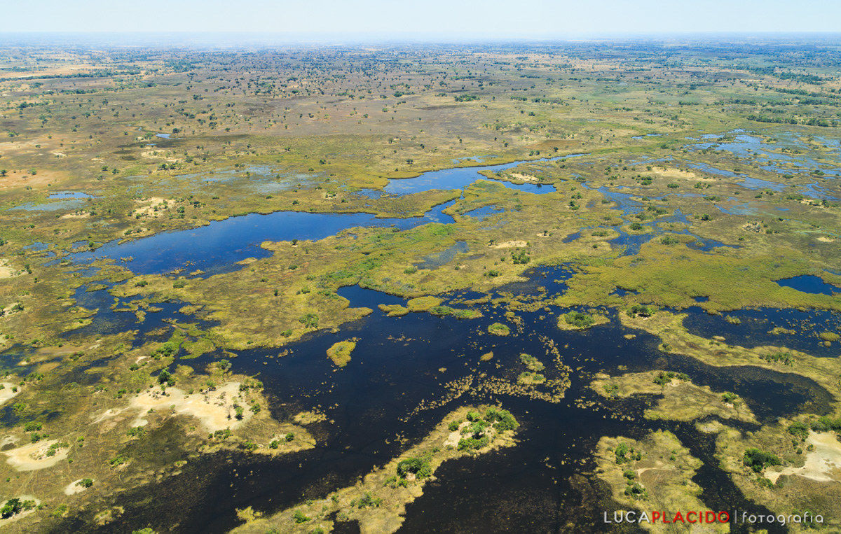 Okavango Delta plane