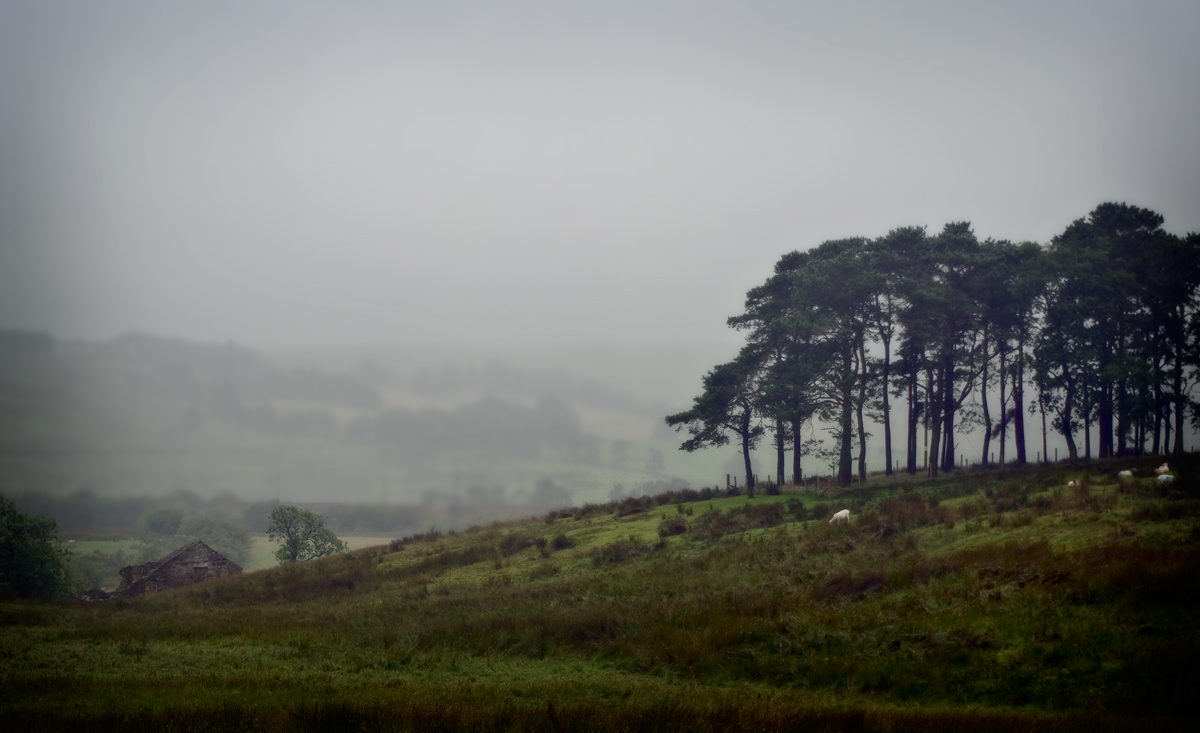 Atmosfera di pioggia