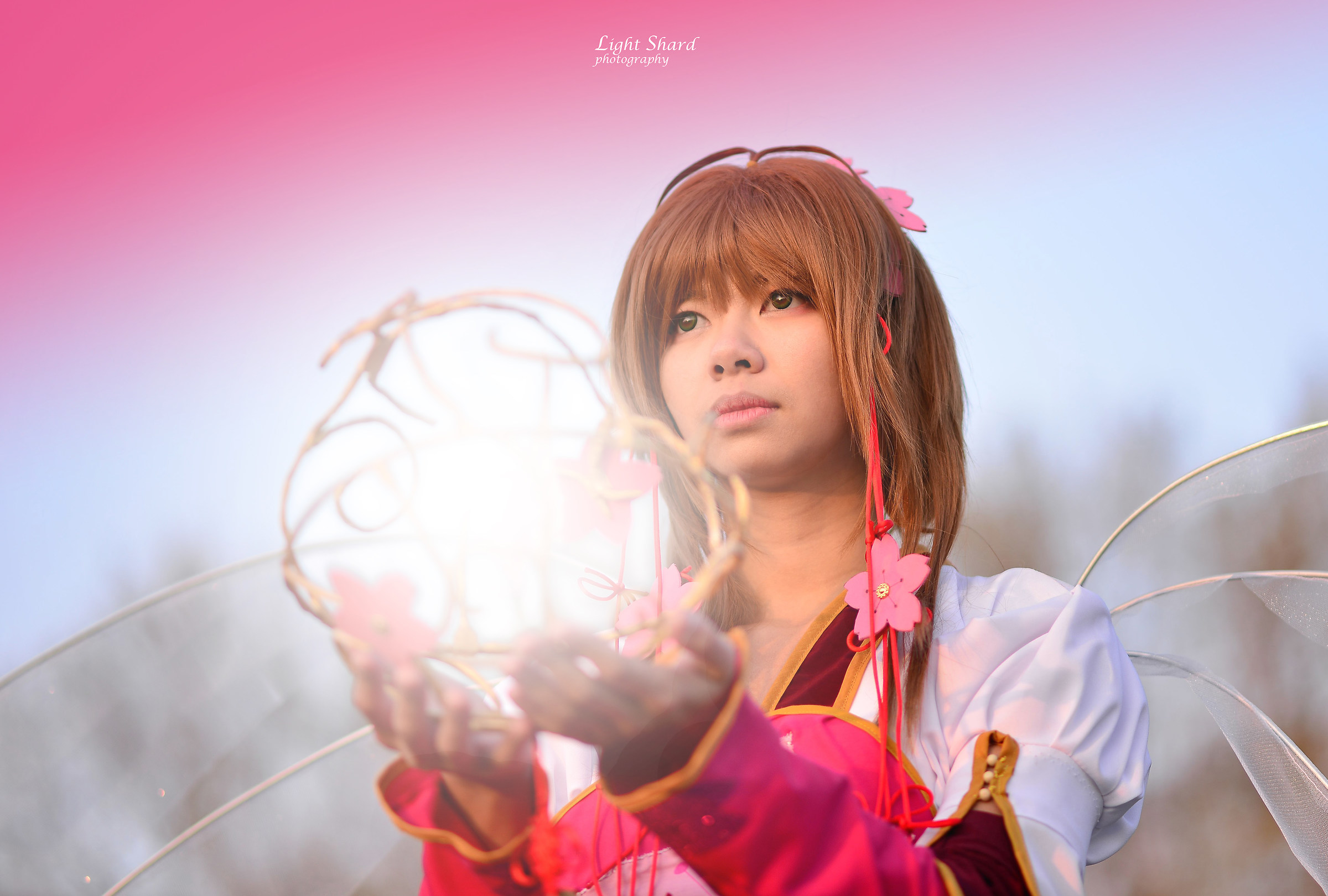 Sakura by Kanda lens cosplay