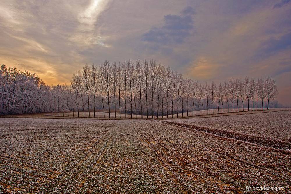 Galaverna Gennaio2012