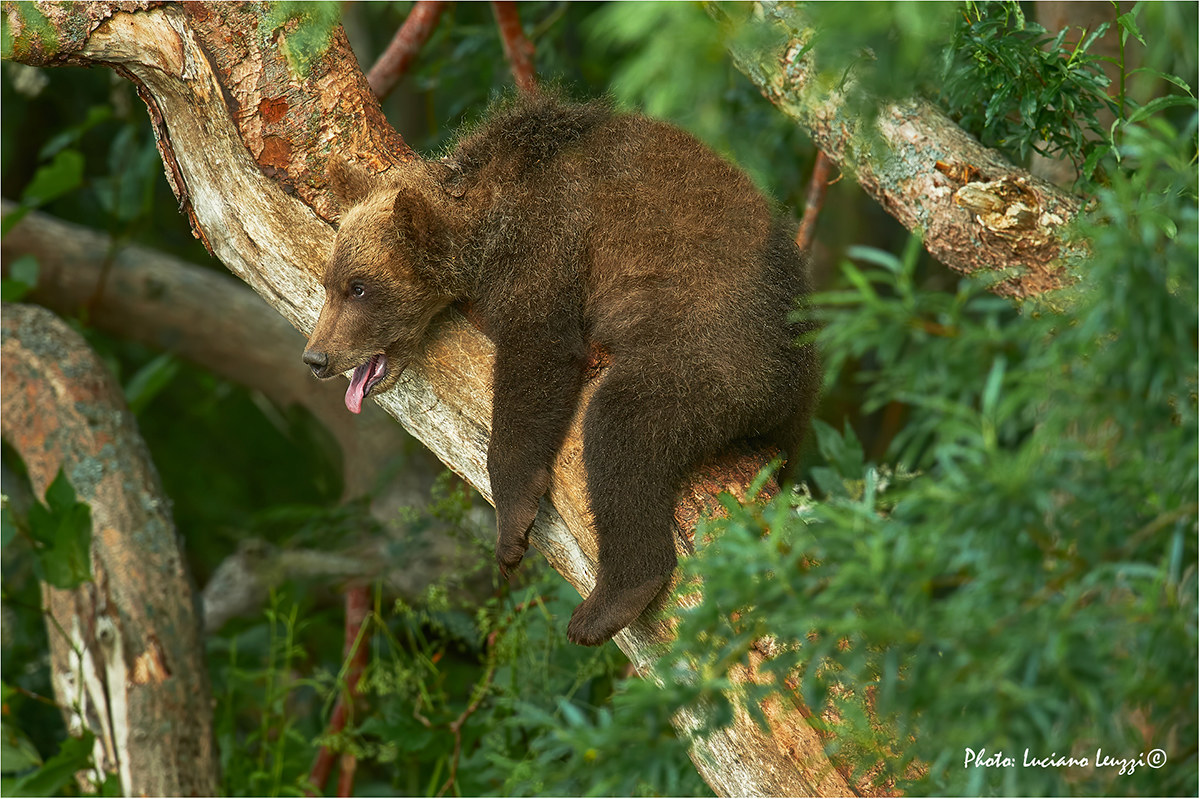 Che stanchezza ste feste!!