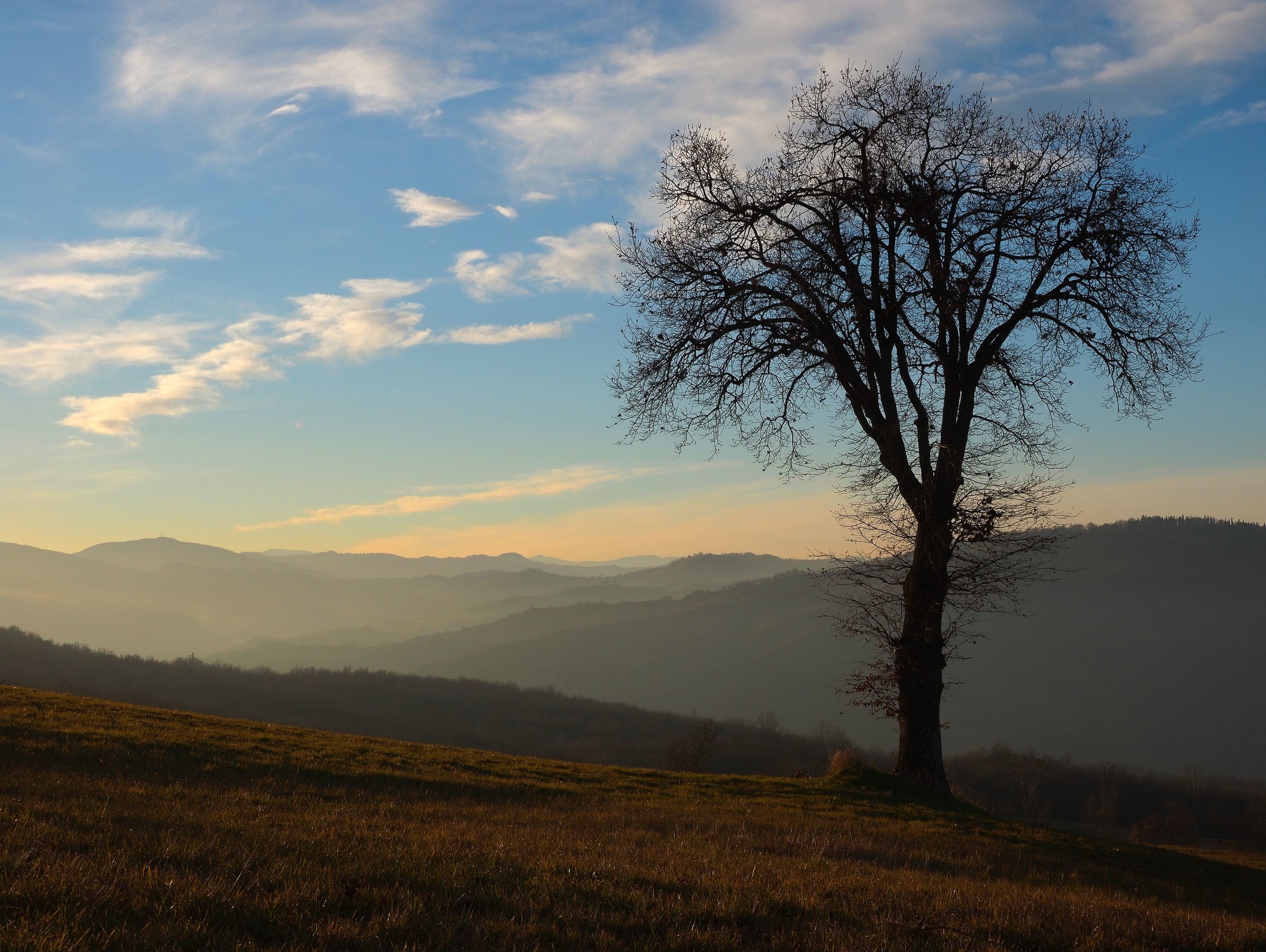 spettatore privilegiato