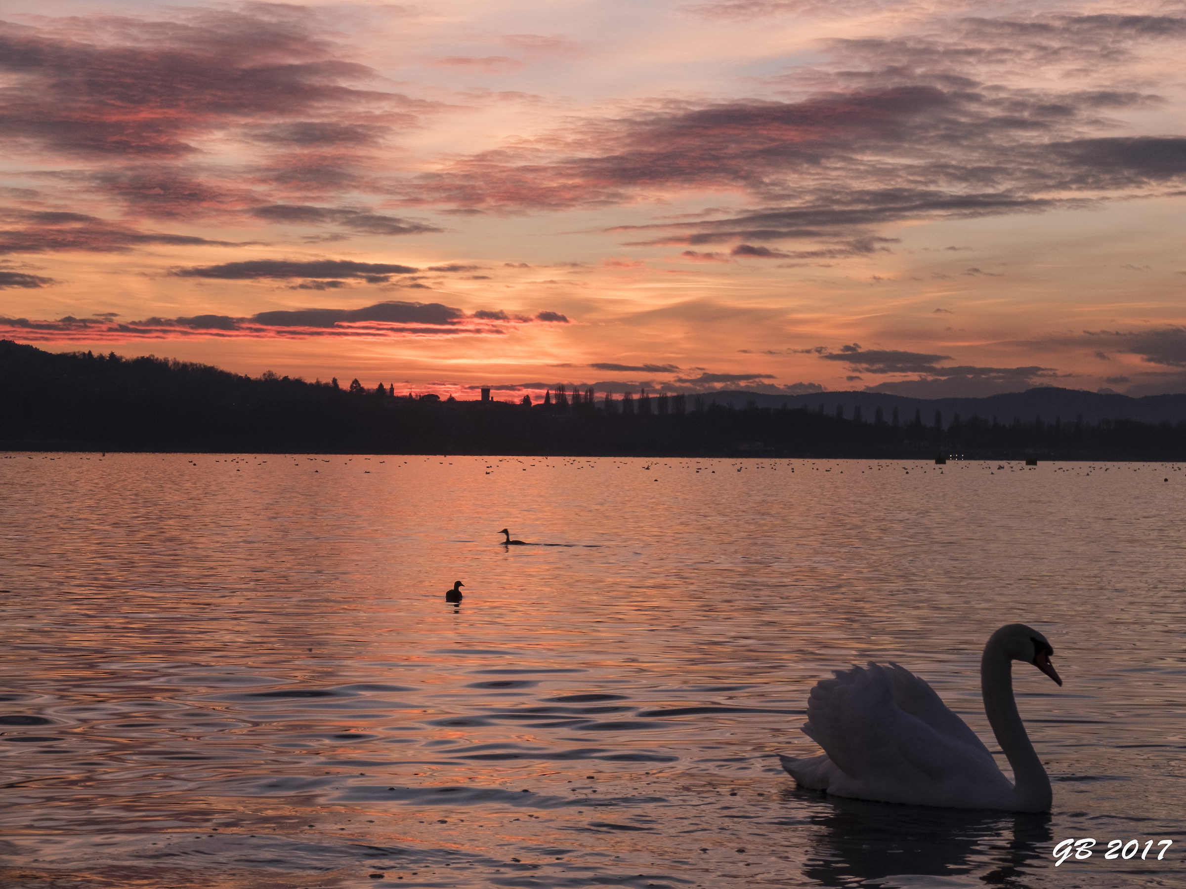 navigando al tramonto