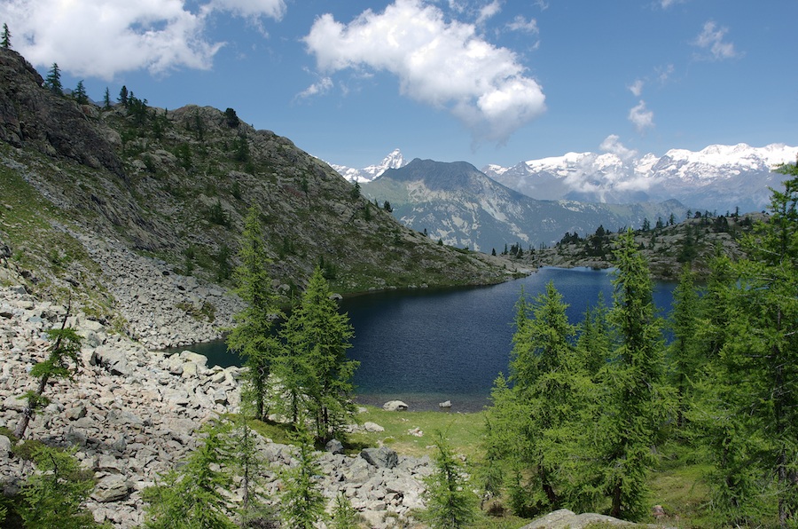 Lago Bianco e Cervino - Mont Avic