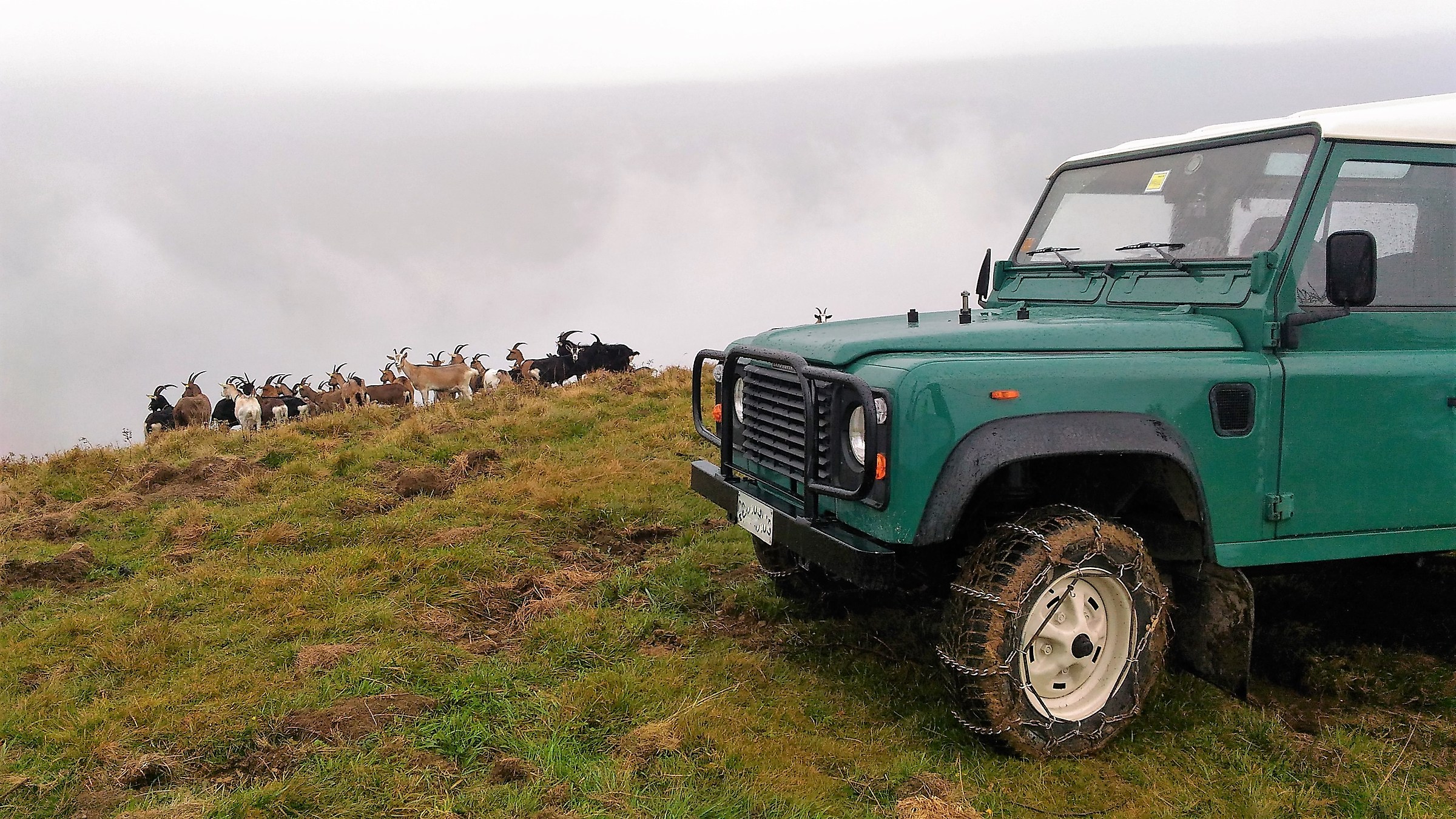 LandRover90 ed altri 4x4