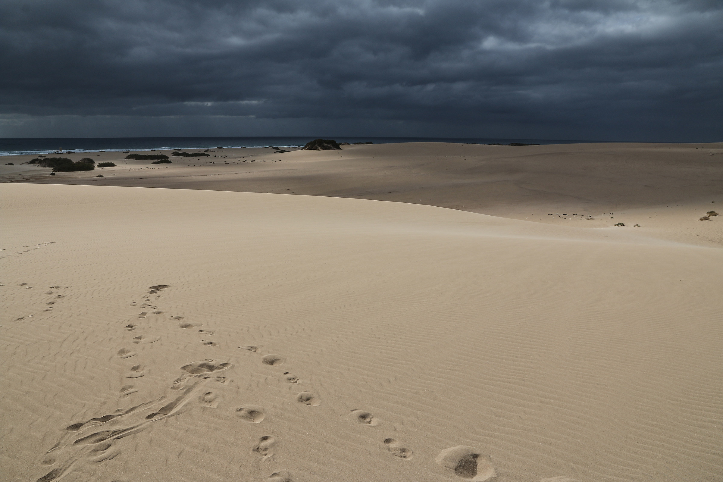 Las Dunas de Corralejo