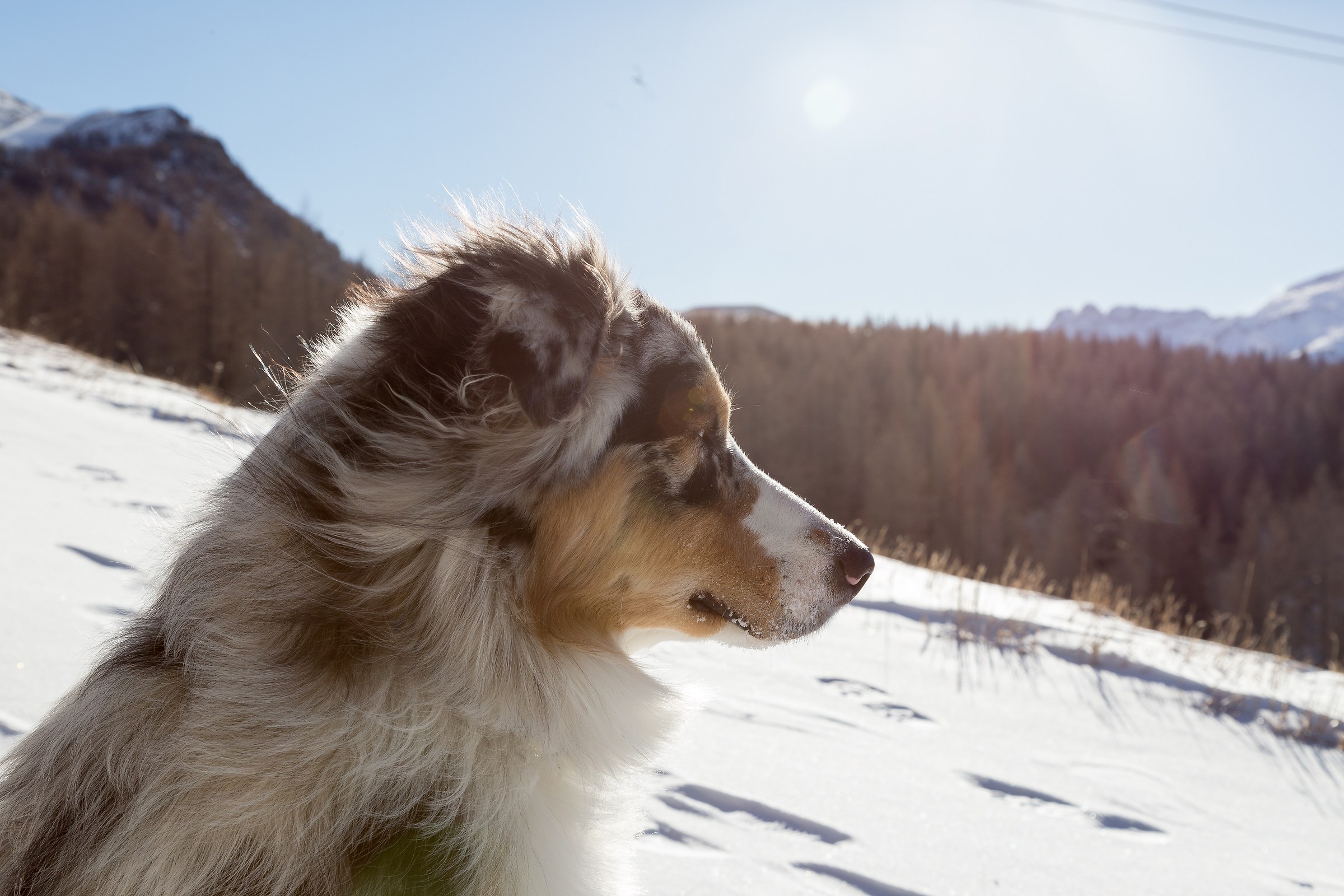 Look toward the infinite