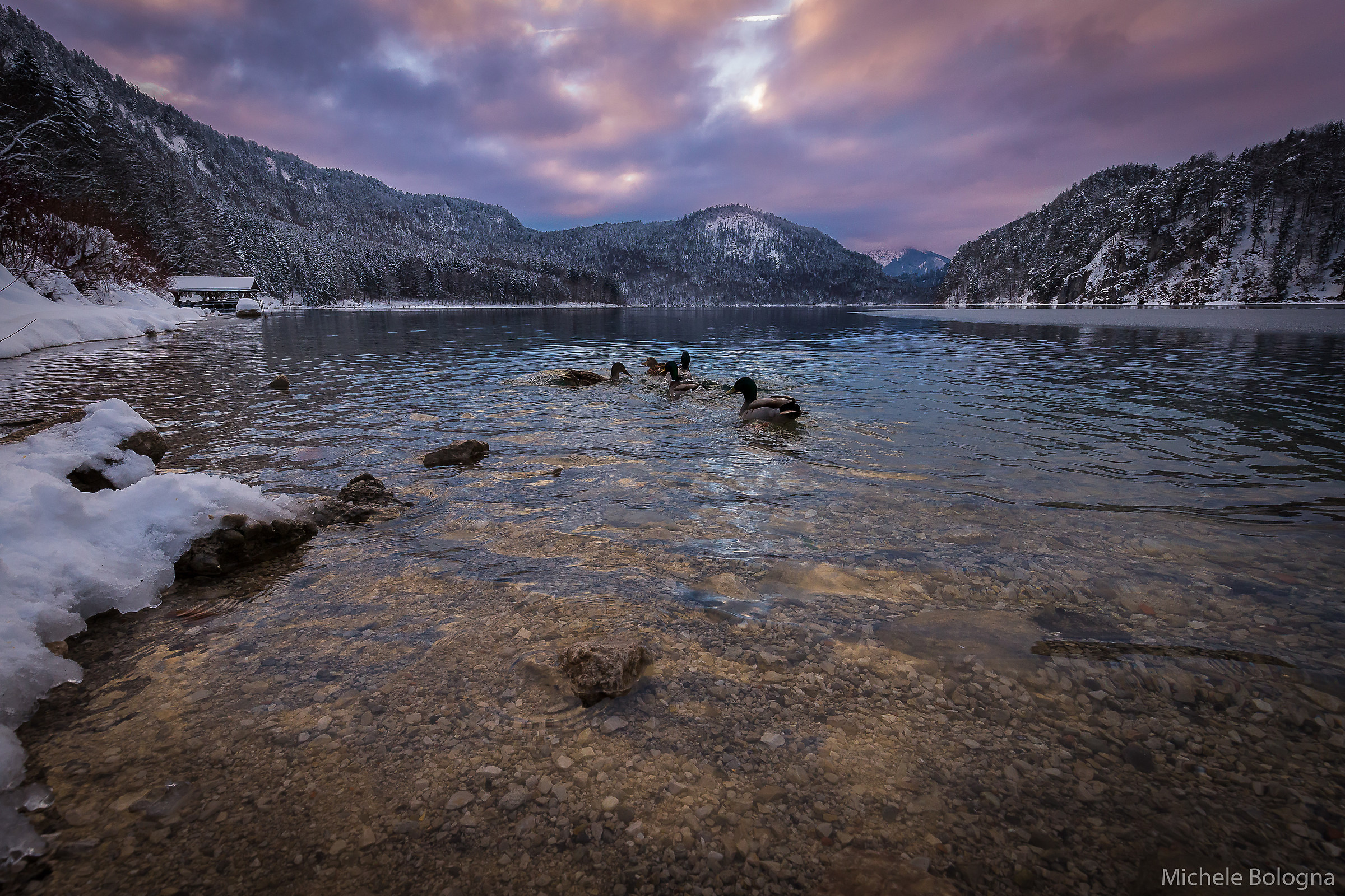 Tramonto al Lago Alpsee