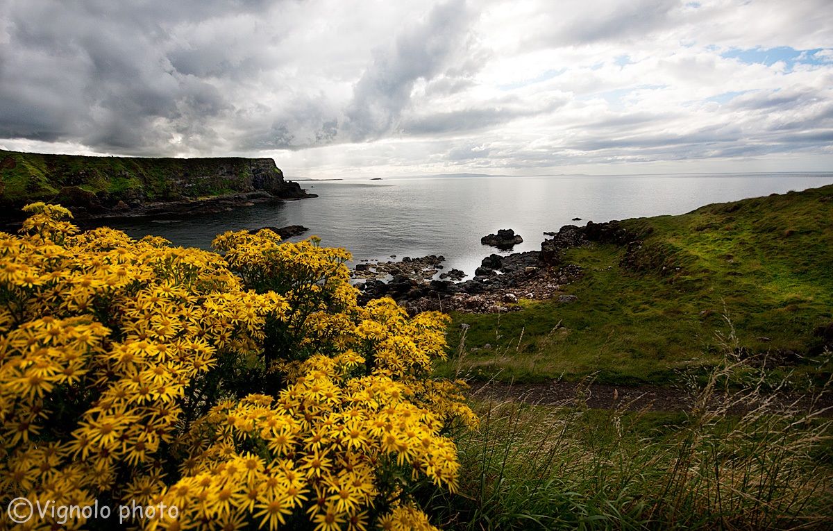Contea di Antrim,Irlanda del Nord