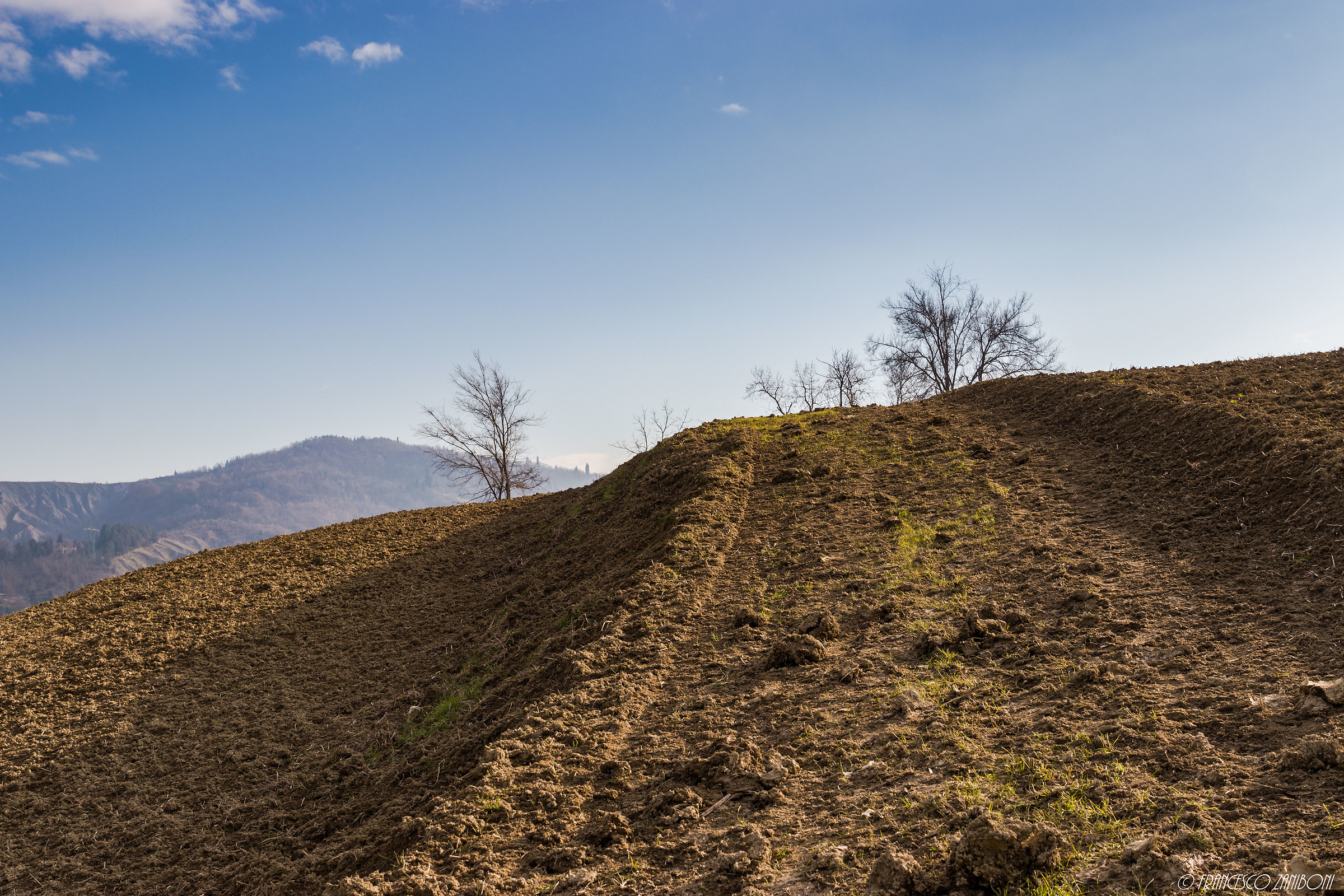 Horizons in the Park 2