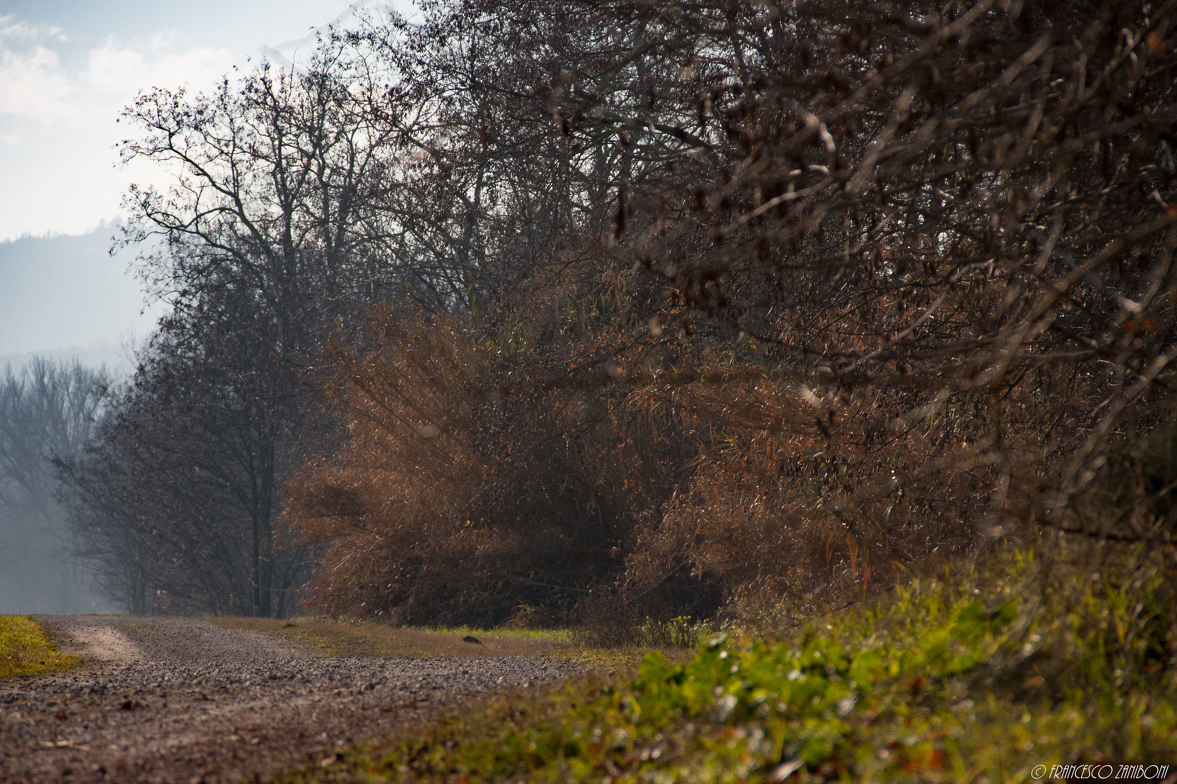 Horizons in the Park 3