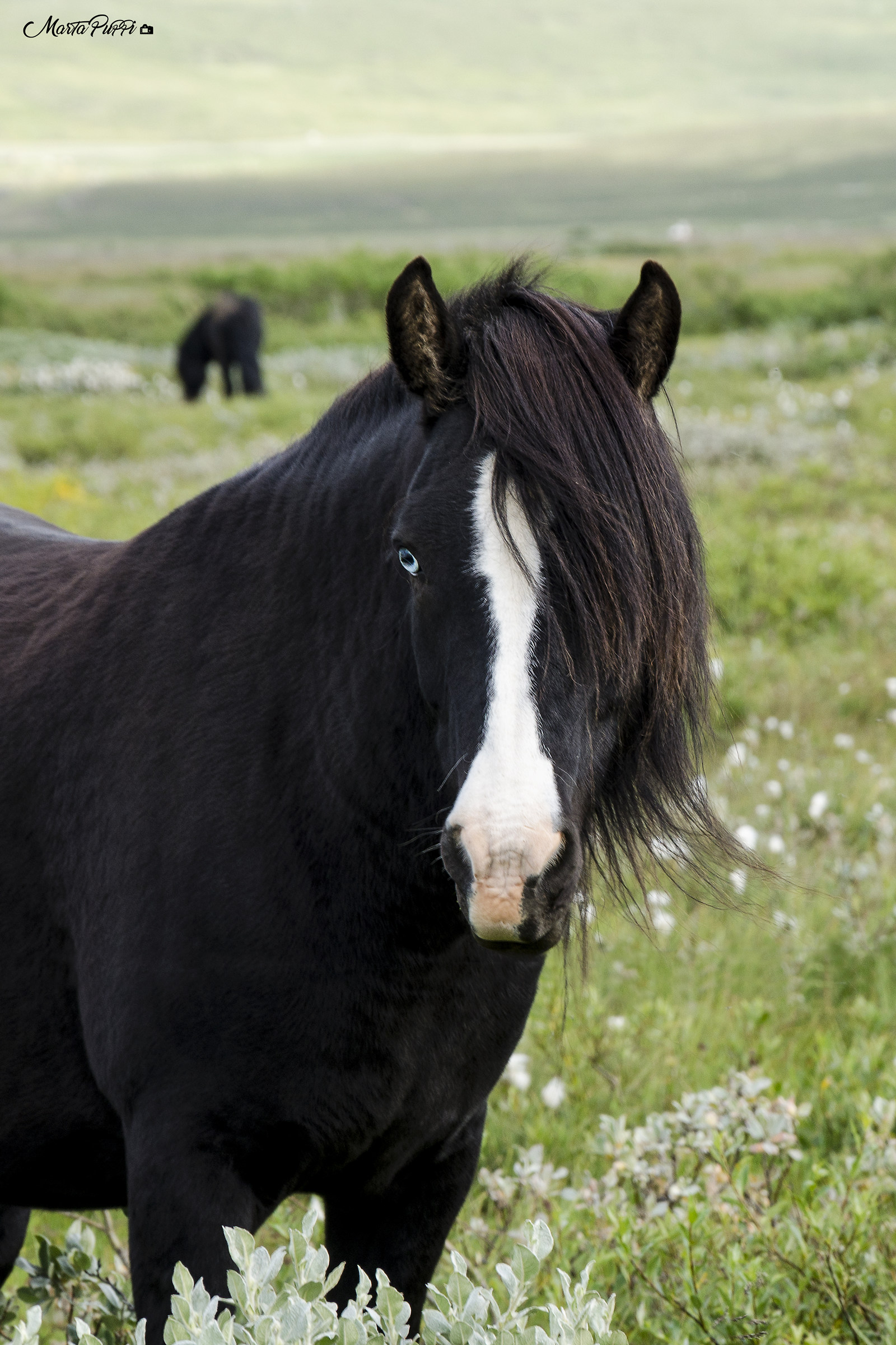 Moro, occhi azzurri...