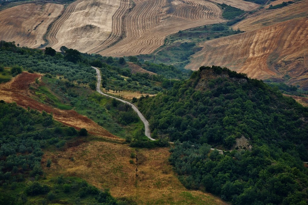 Walking through the hills