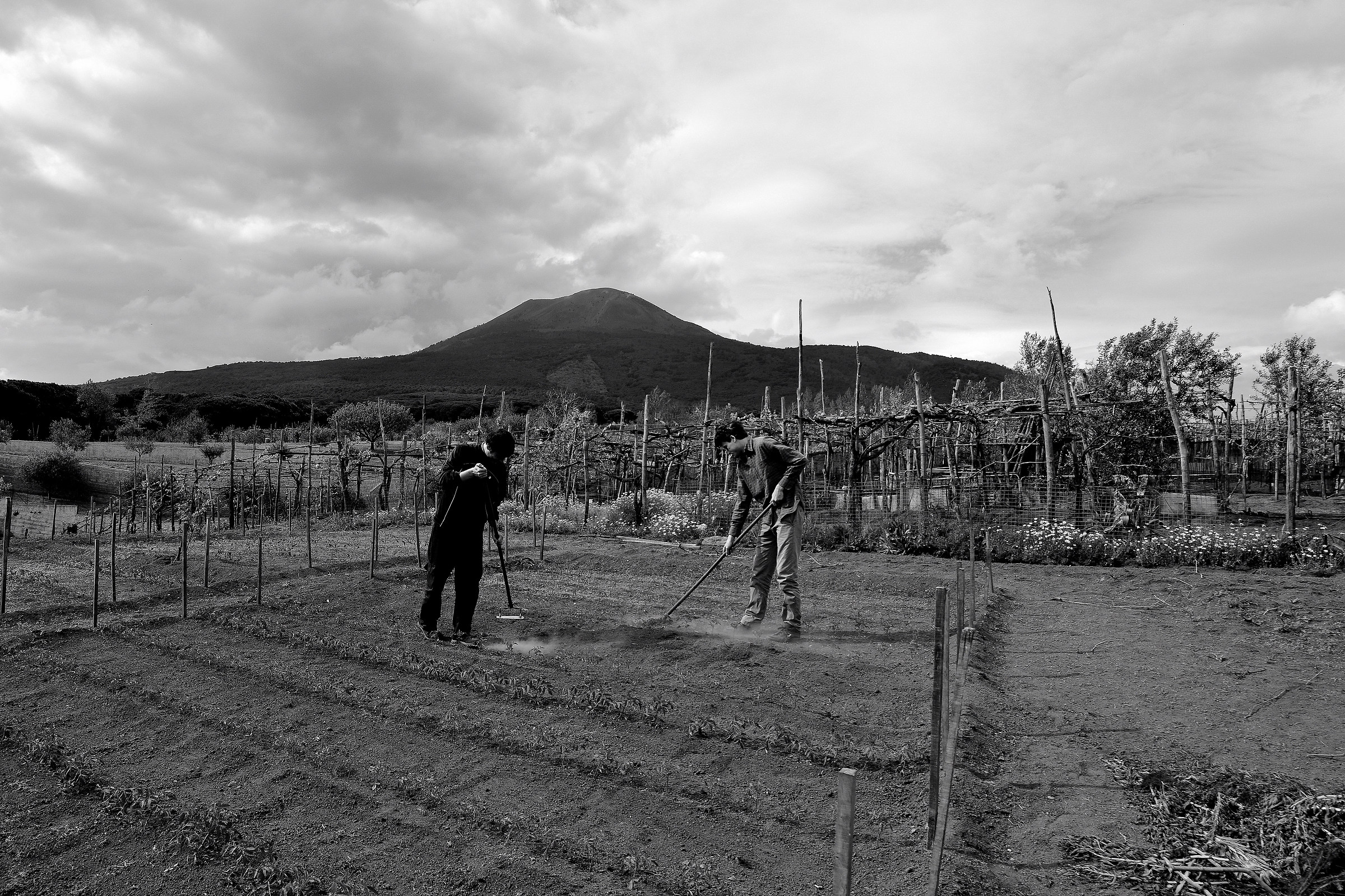 Roots, Youth & Rebellion