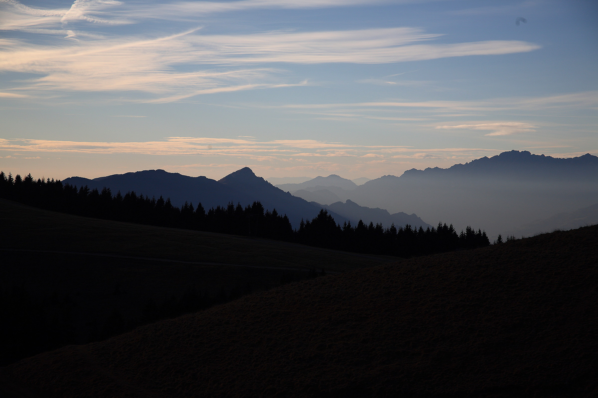 Untitled Photo