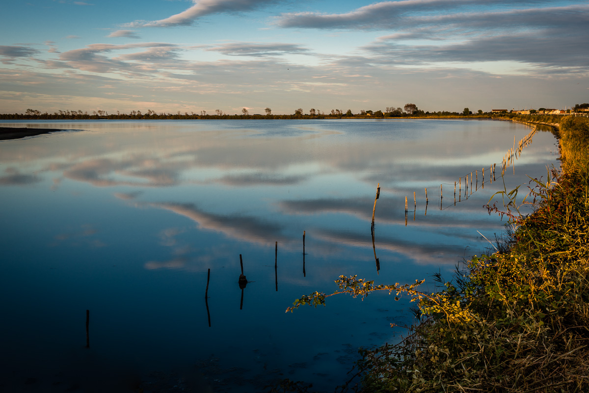 The flamingos Valley