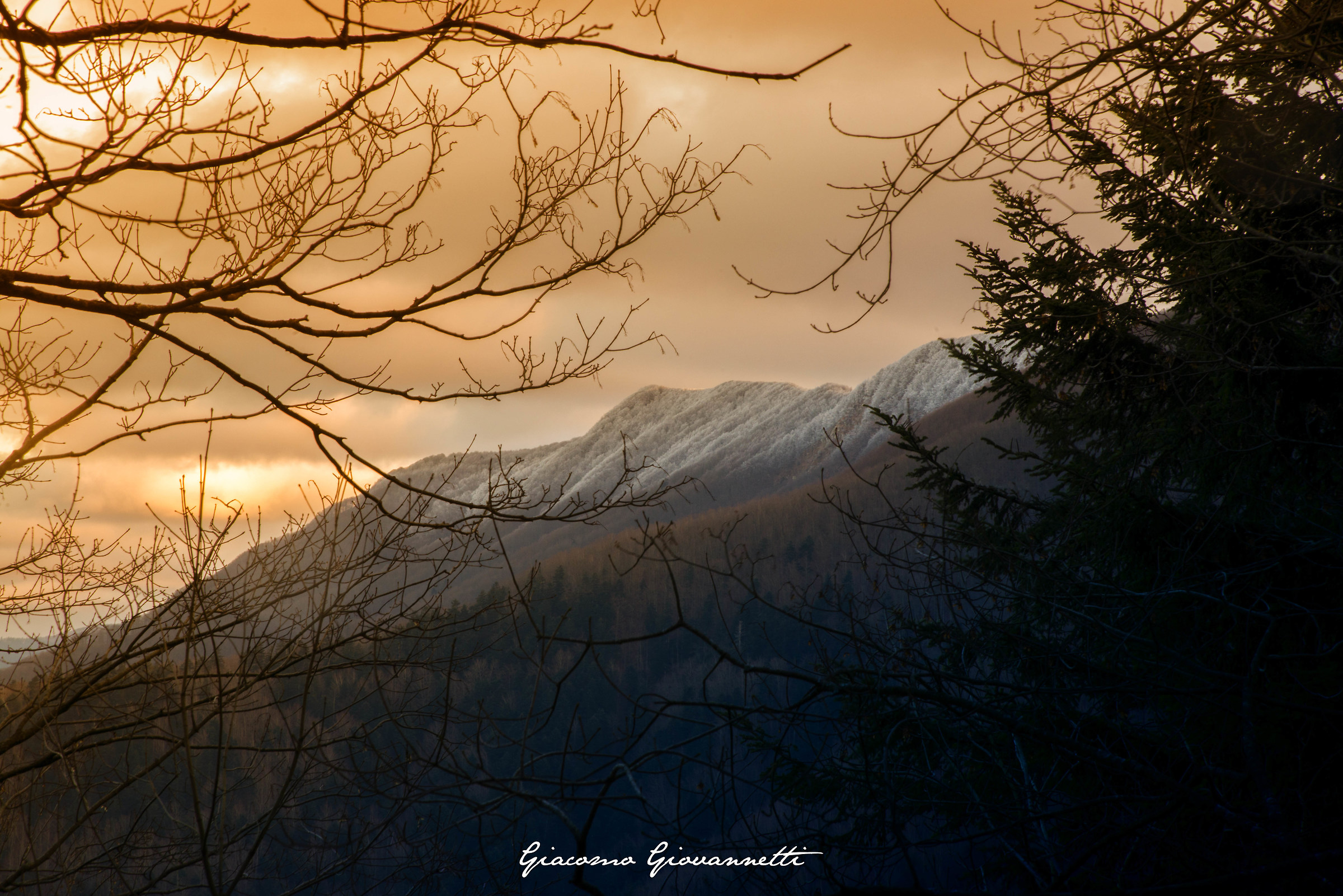 Sunrise on the National Park of Casentino Forests