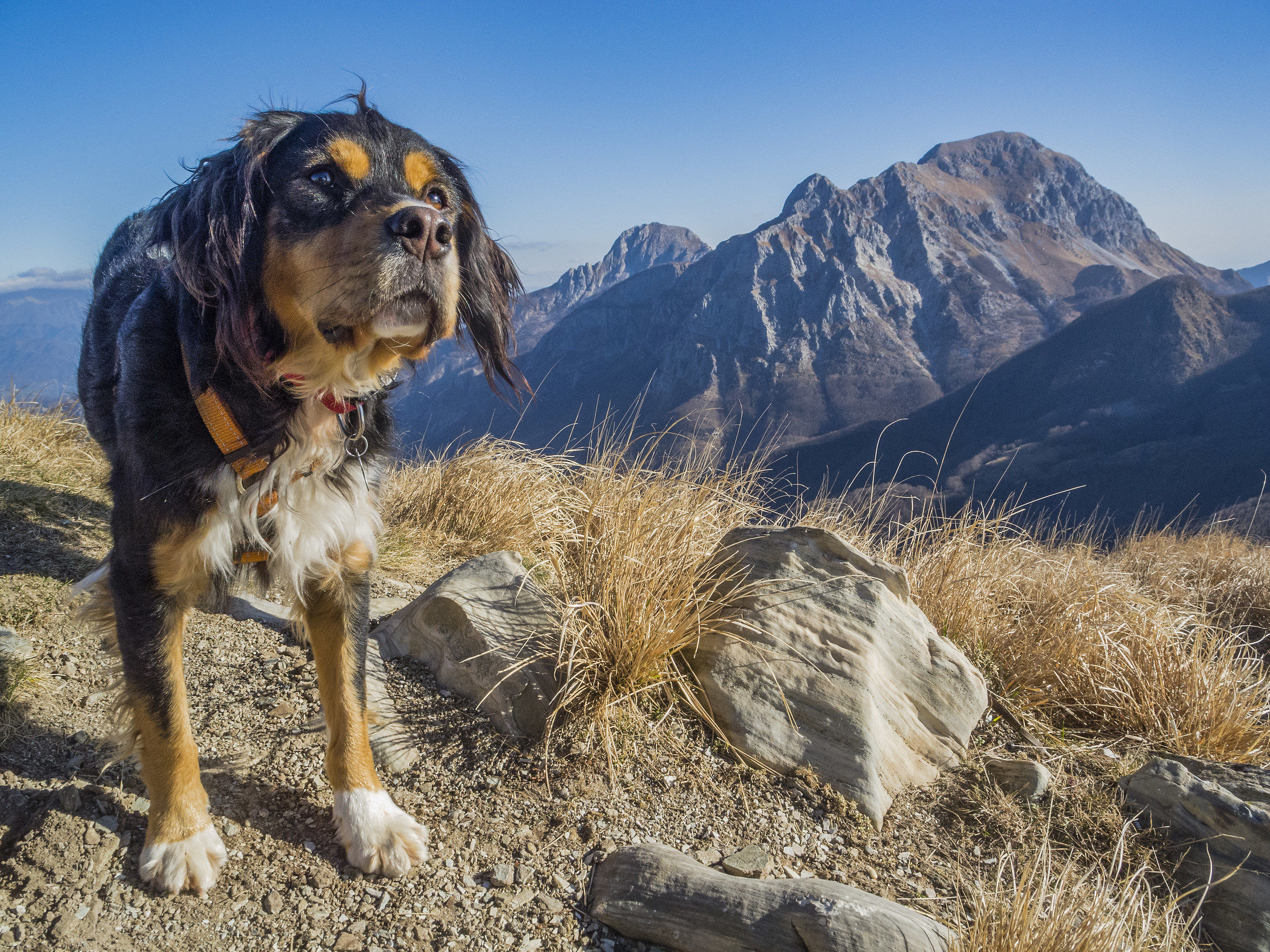 Ugo Mount Freddone Apuan