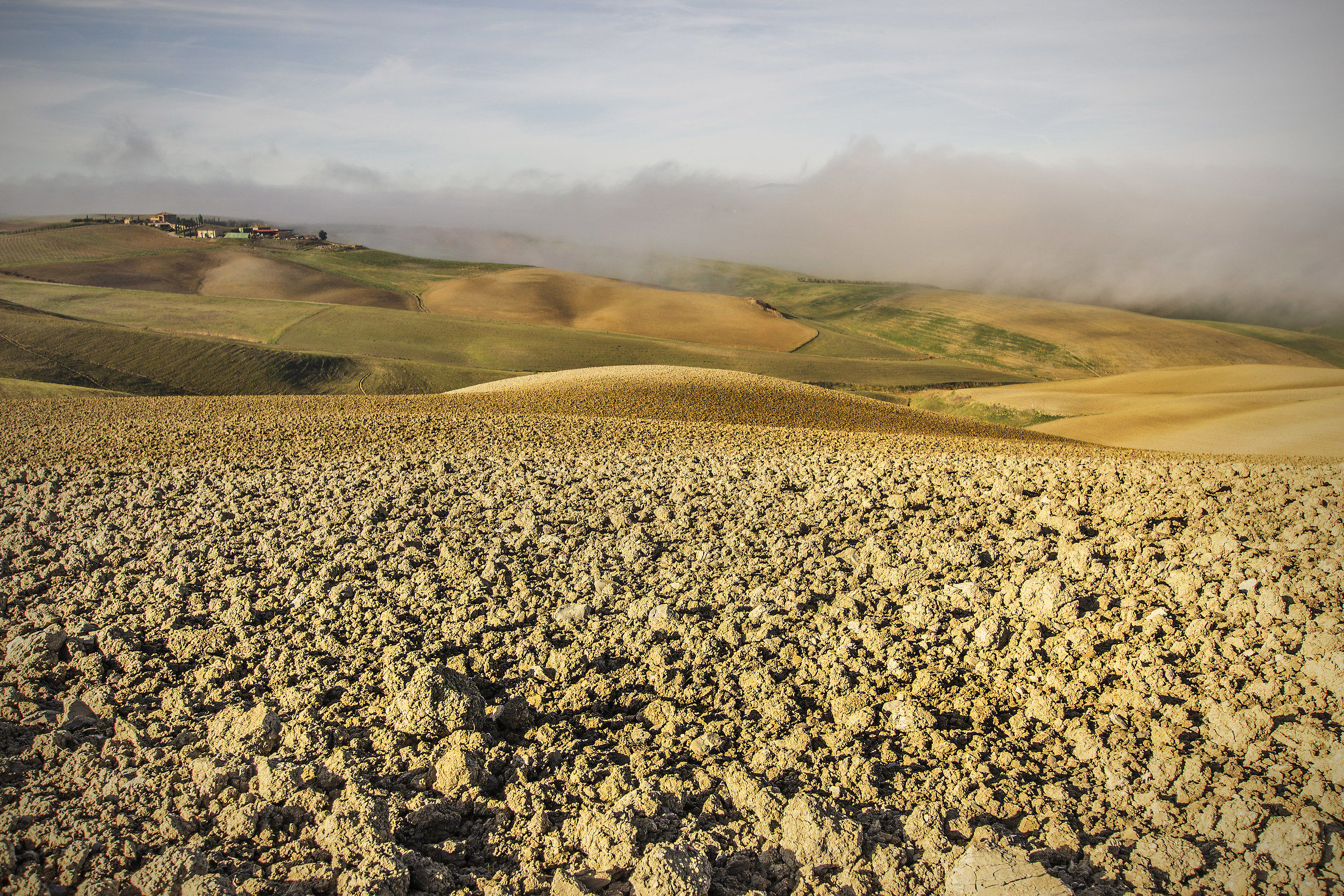 Colline toscane