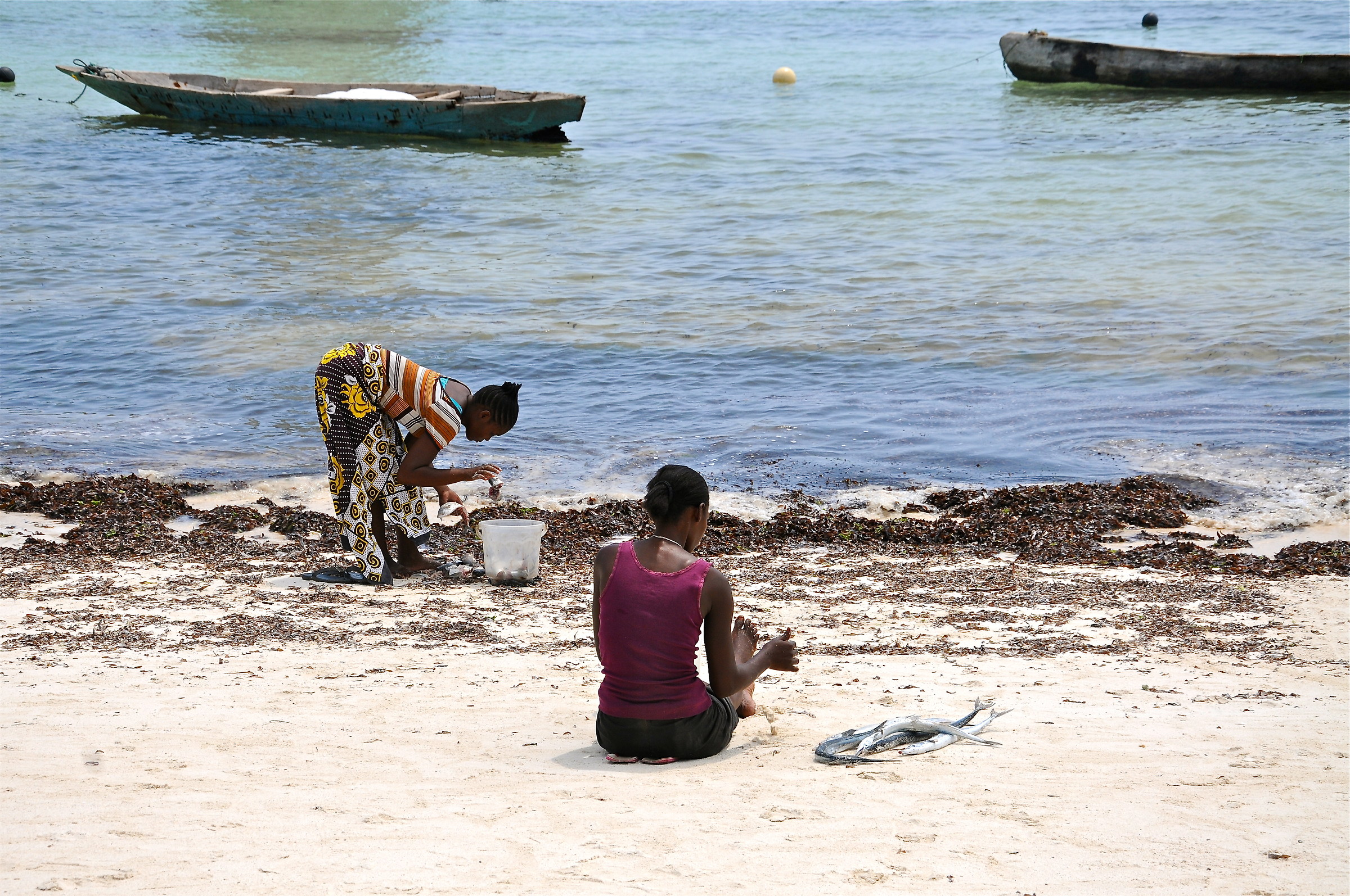 due donne e il pescato del giorno