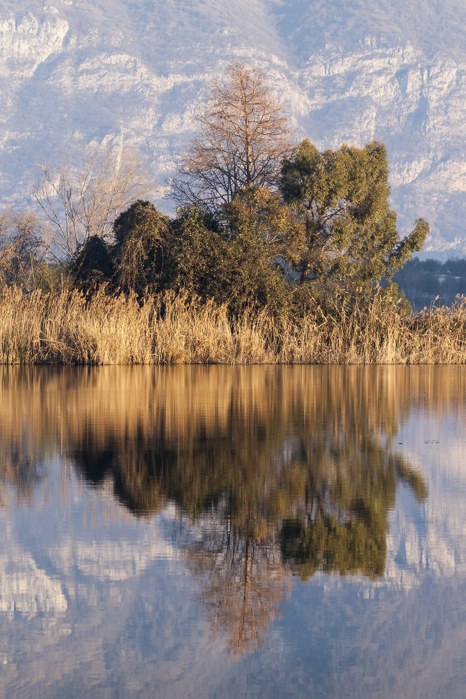 riflessi alle torbiere
