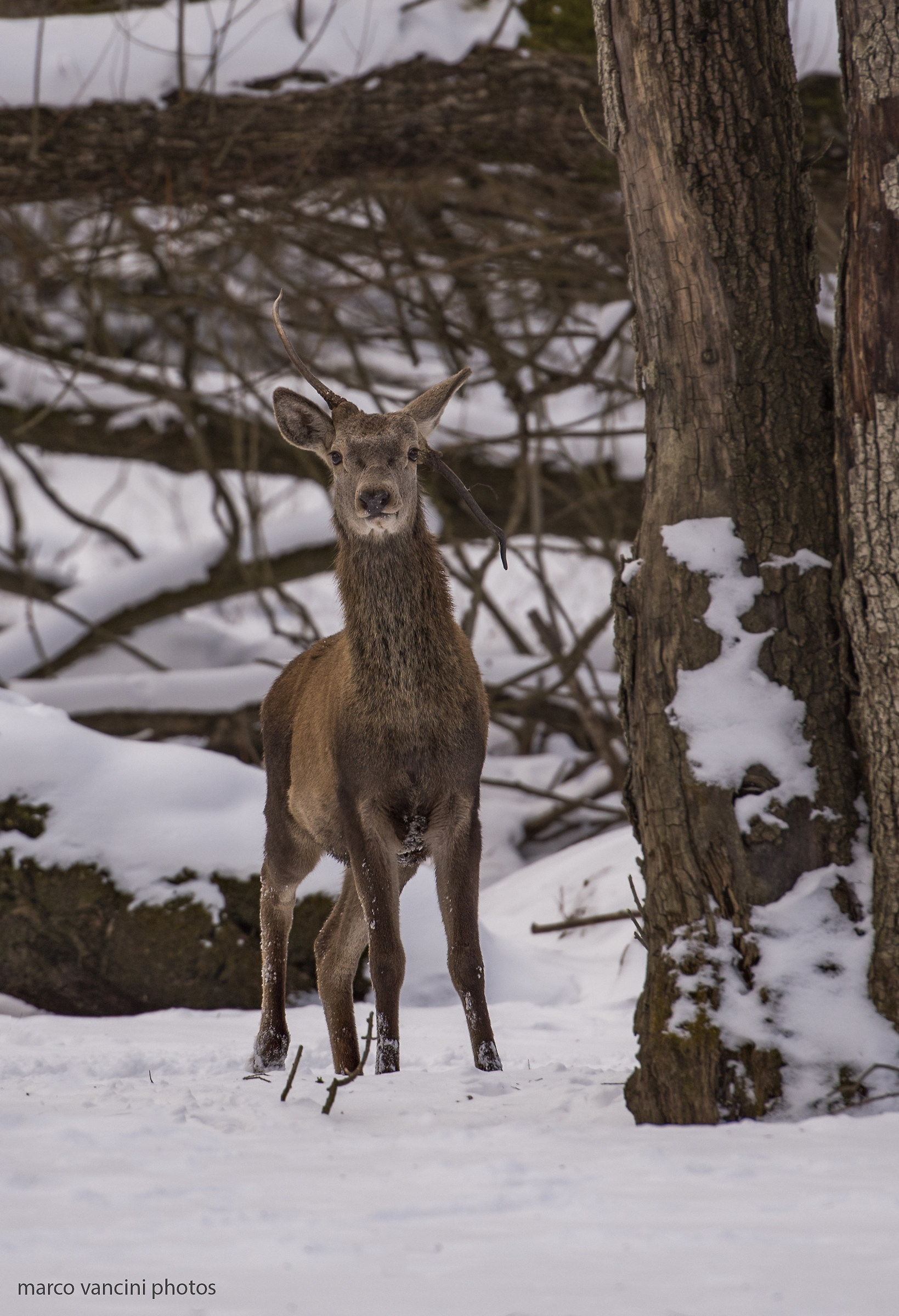 La natura è meravigliosa