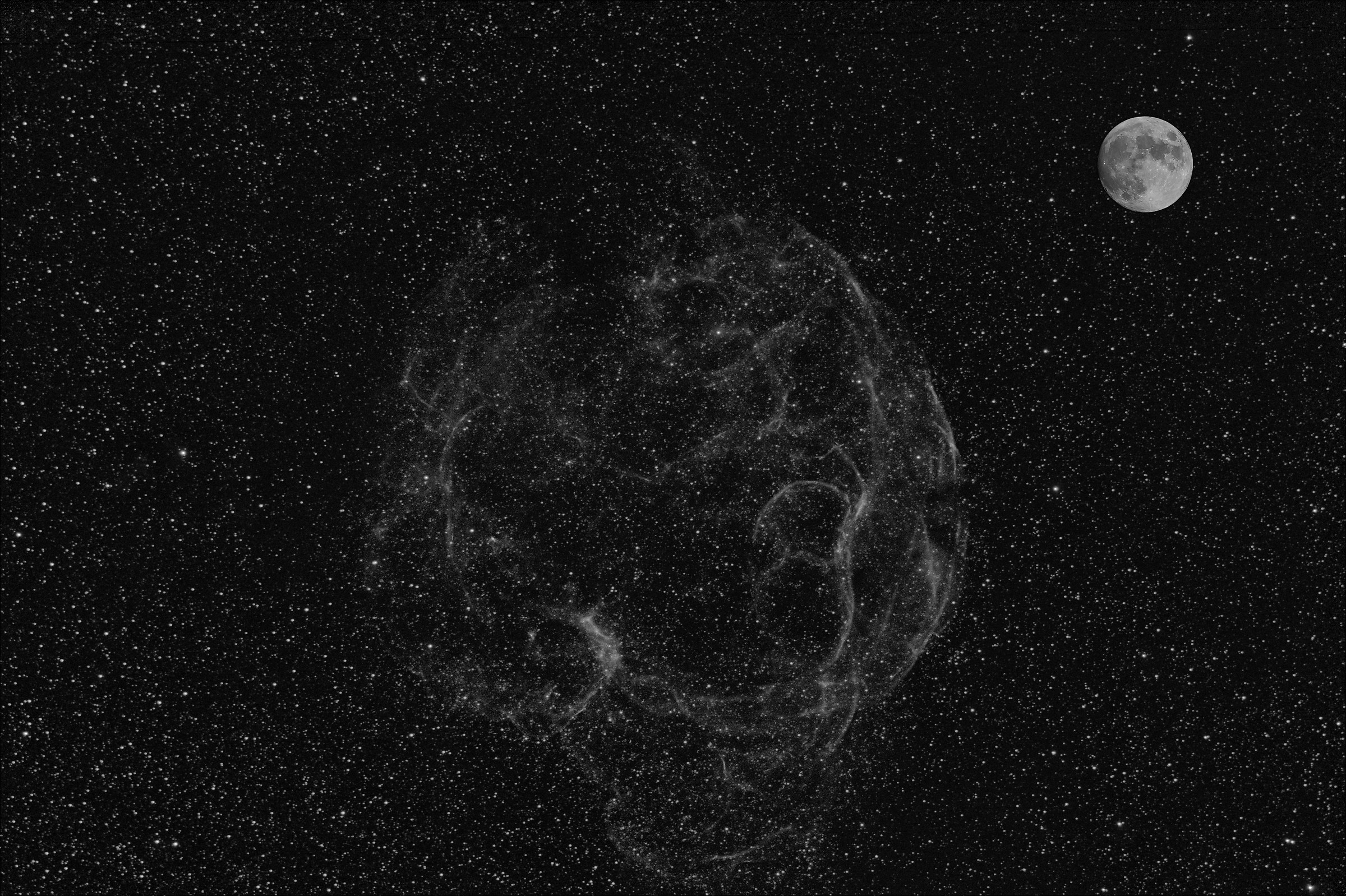 Simeis 147 - La Spaghetti Nebula in Halfa