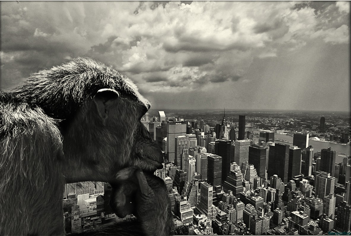 I'm worry about town's life!