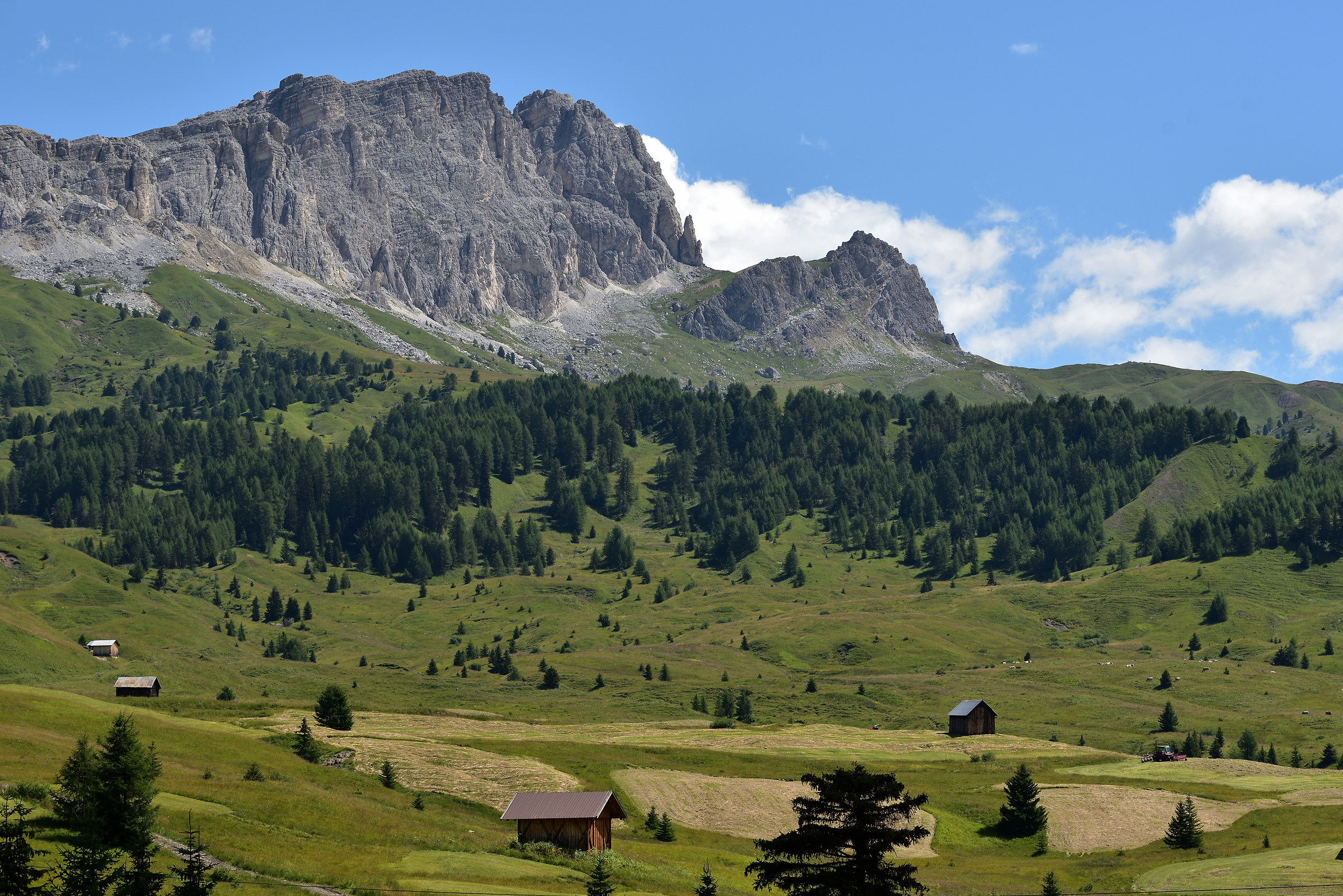 raccolta del fieno in alta quota