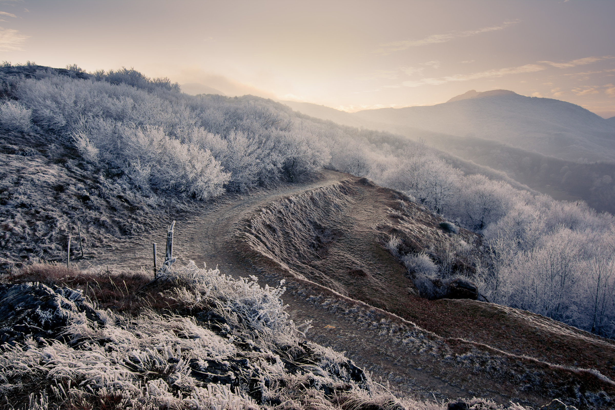 Il paradiso all'improvviso