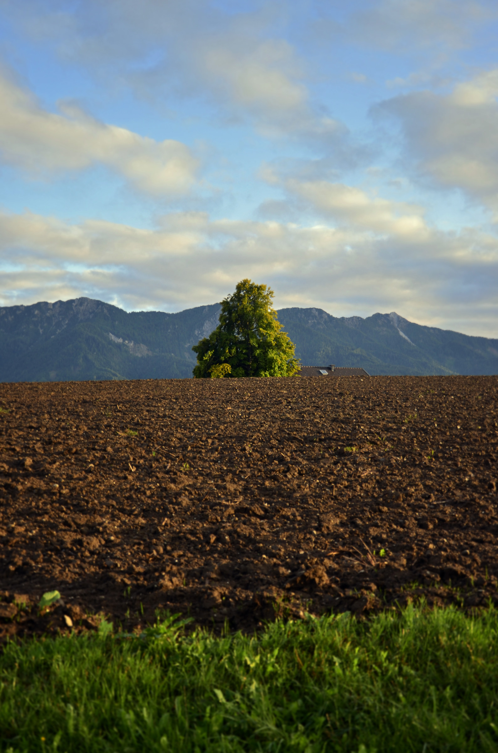I campi e le Montagne