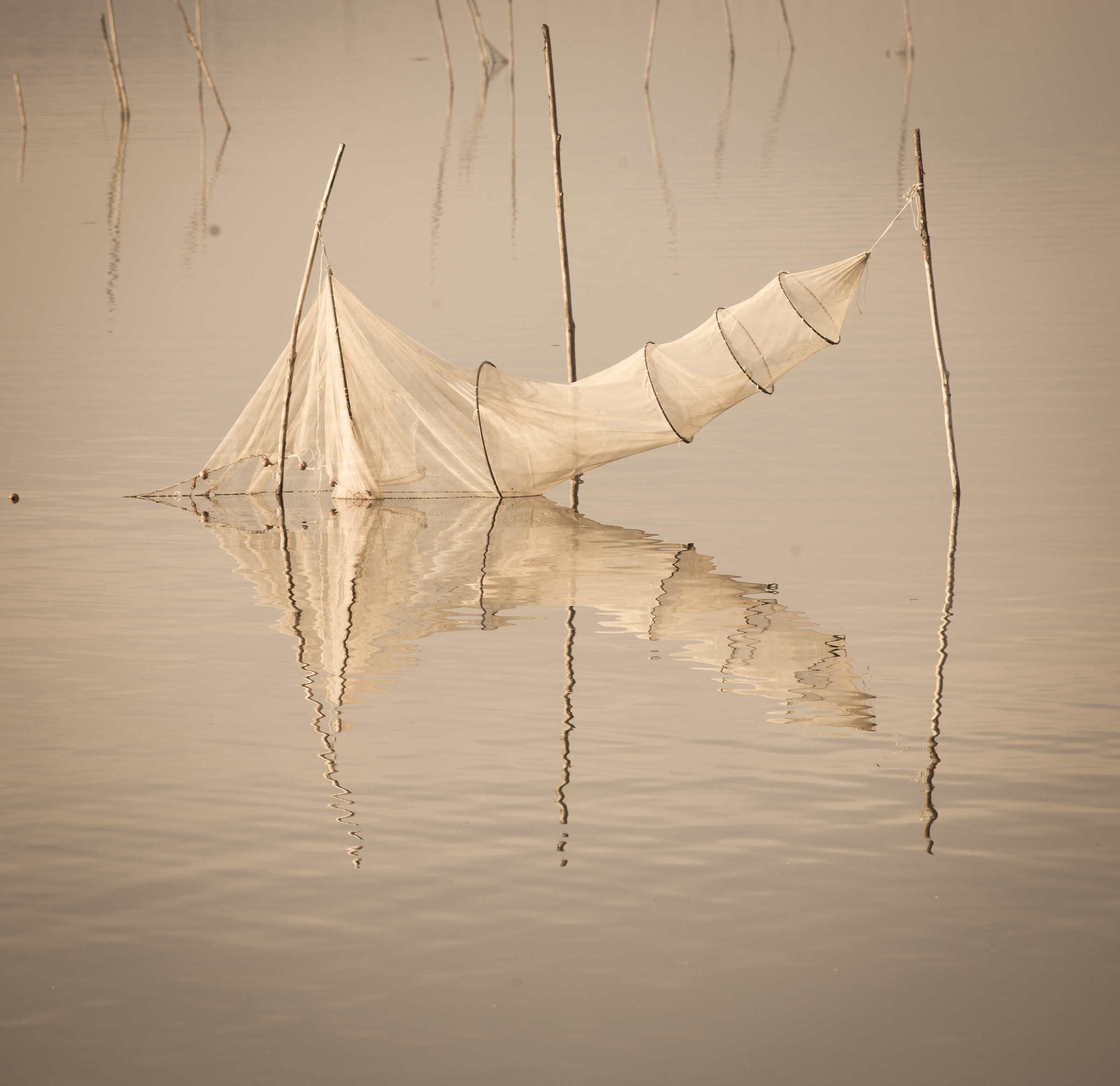 Network in Sant'Arcangelo